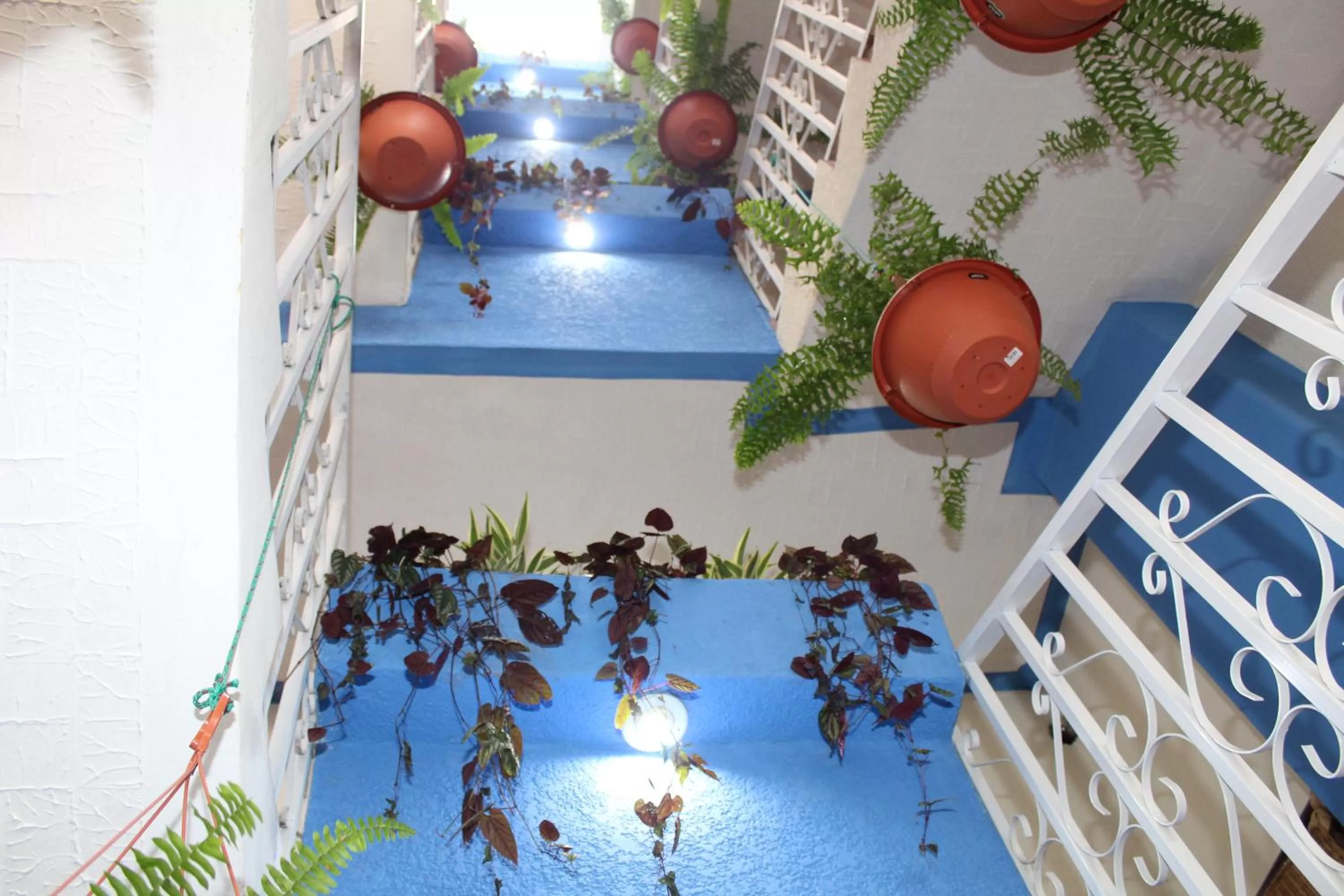 Bird's eye view, Pool View in hotel kasa kamelot 2