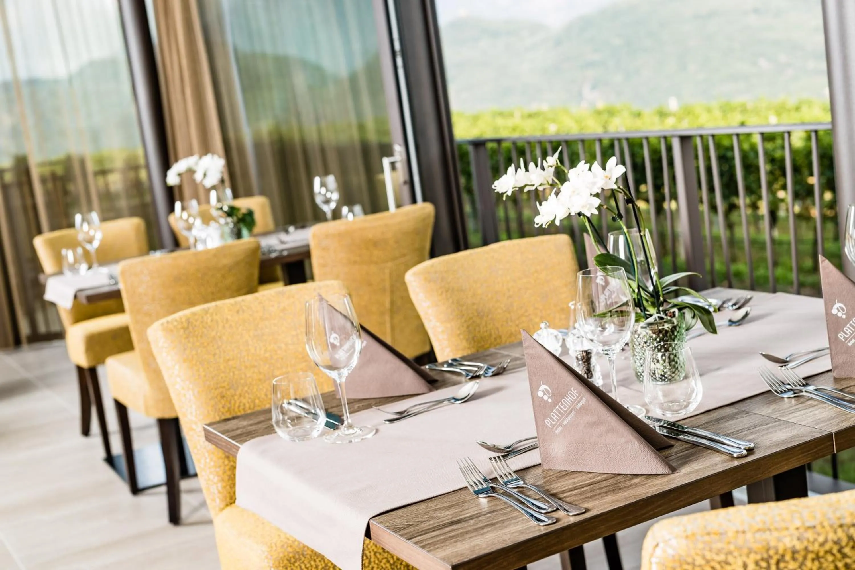 Restaurant/places to eat in Hotel Plattenhof