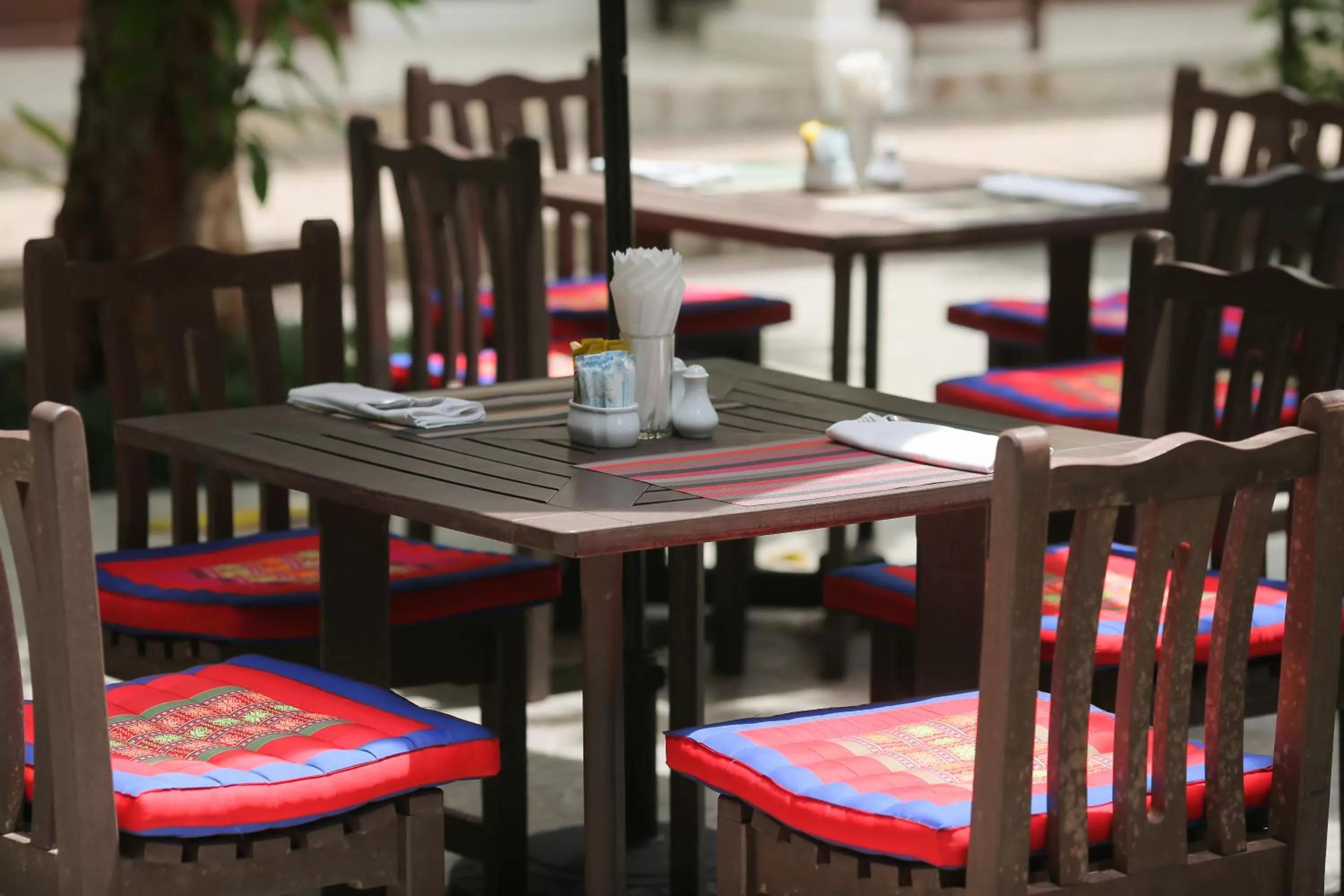 Garden in The Mantrini Chiang Rai