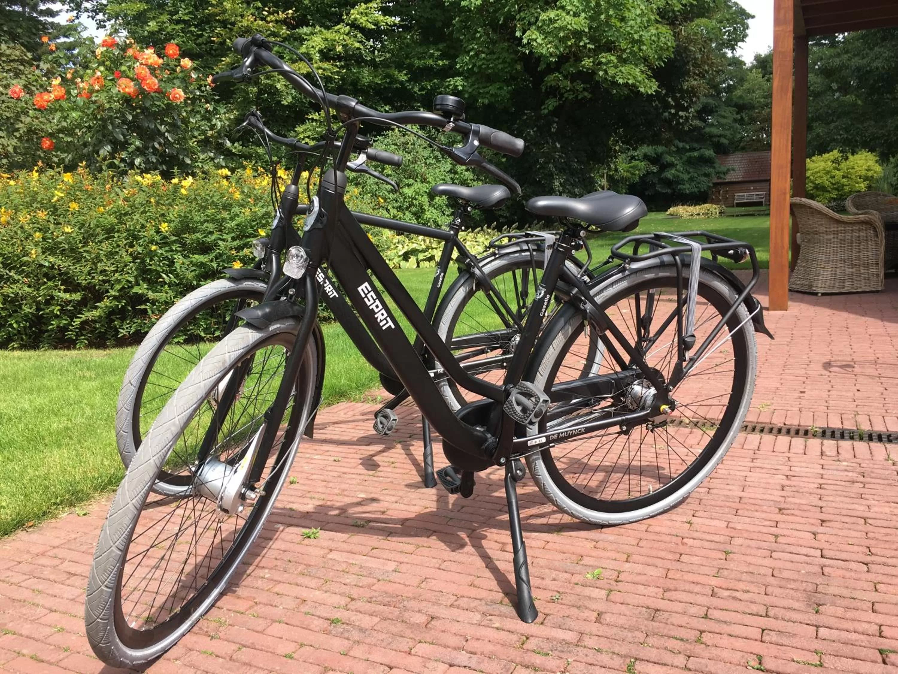 Cycling in Villa Magdalena Eeklo