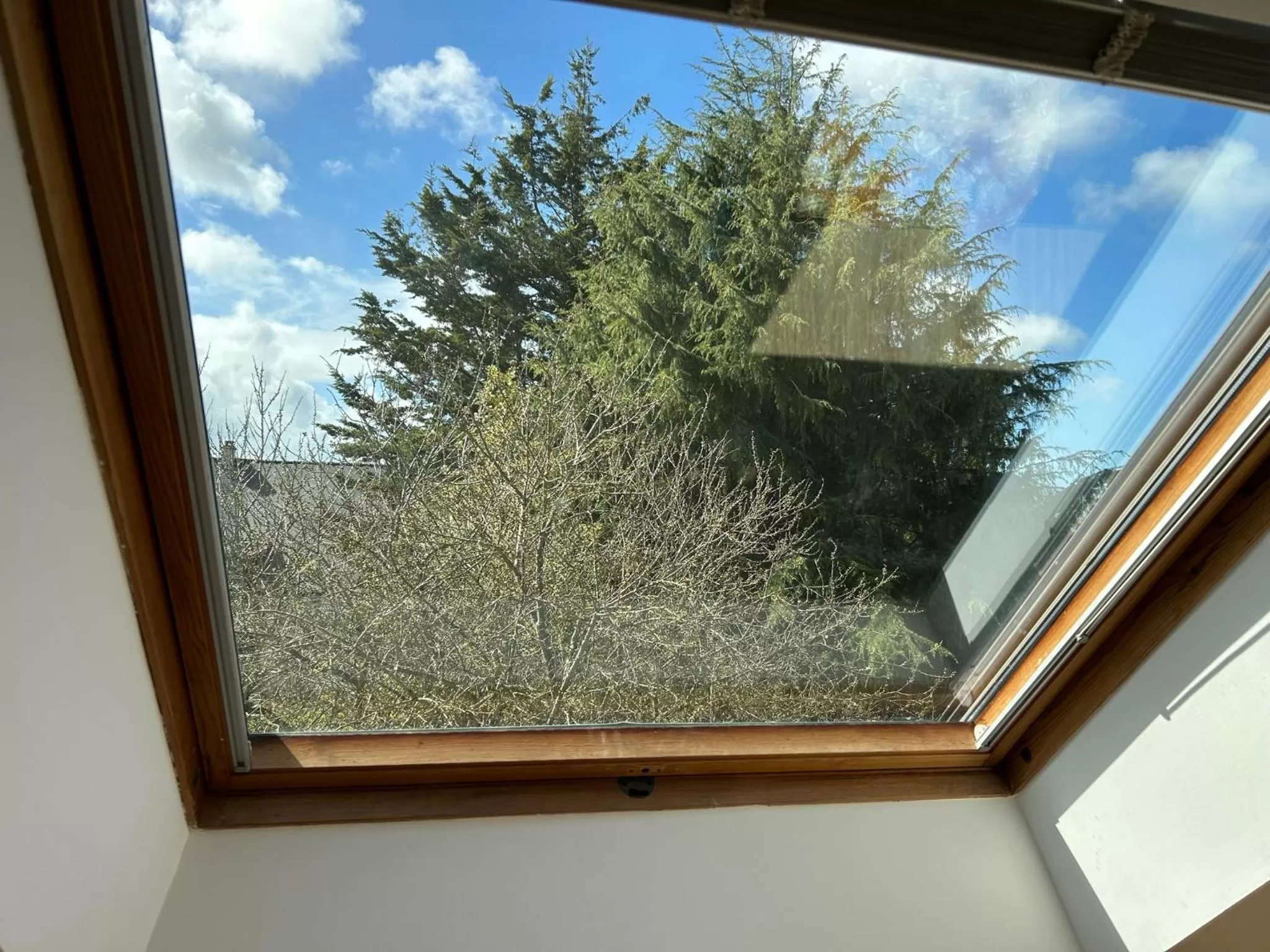 Garden view in ARC EN CIEL B&B