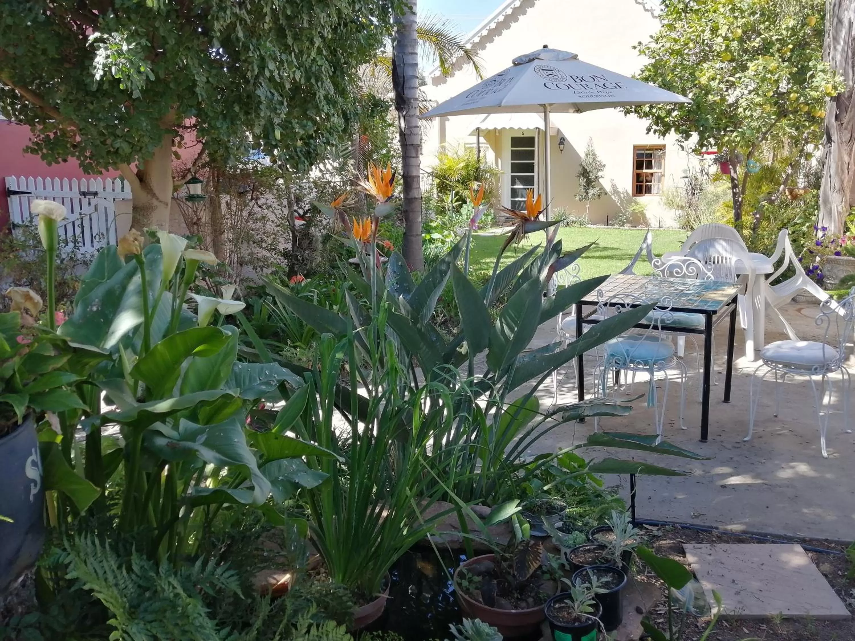 Patio in Squirrels Corner