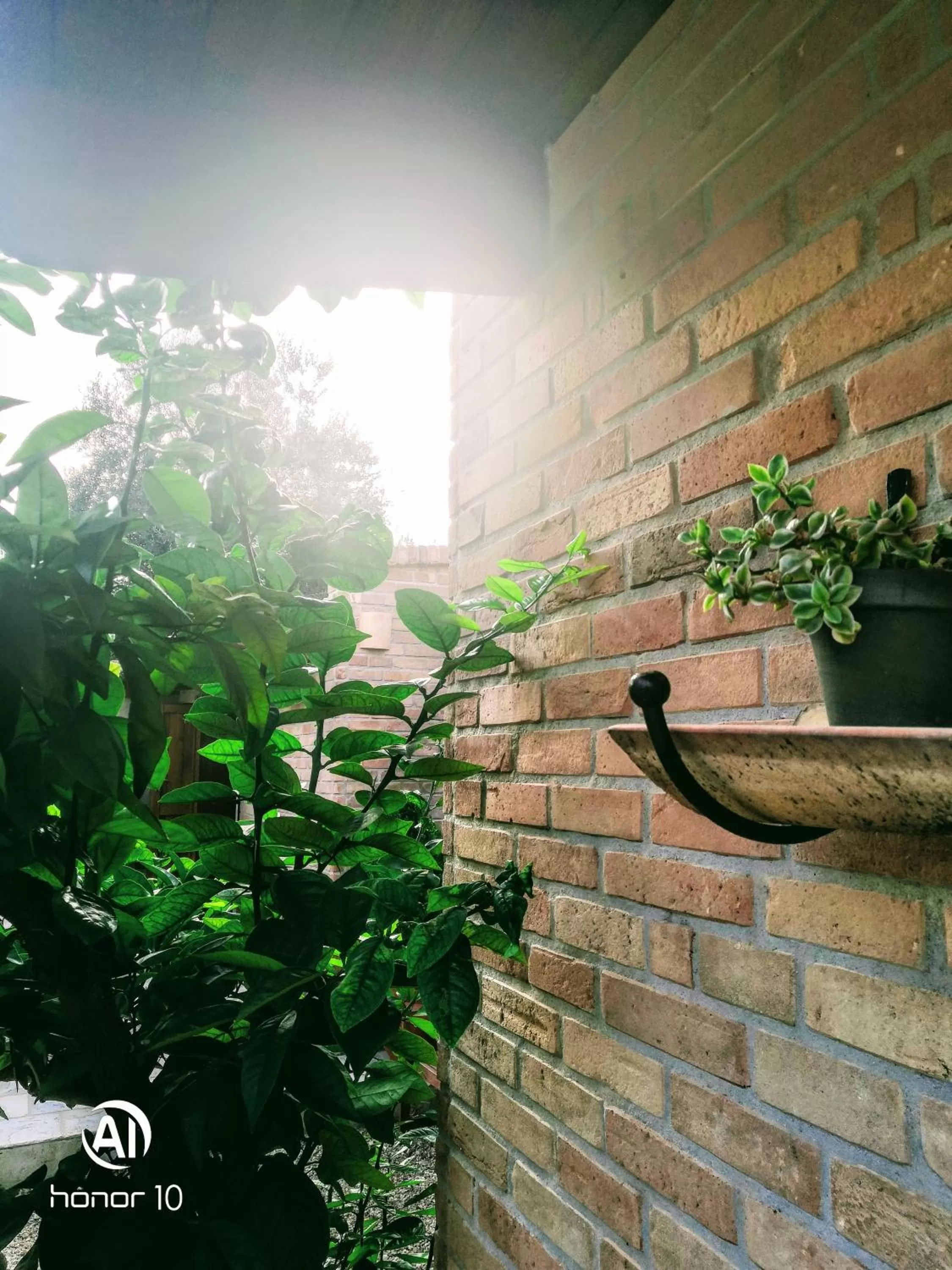 Decorative detail in BORGO LUNA b&b