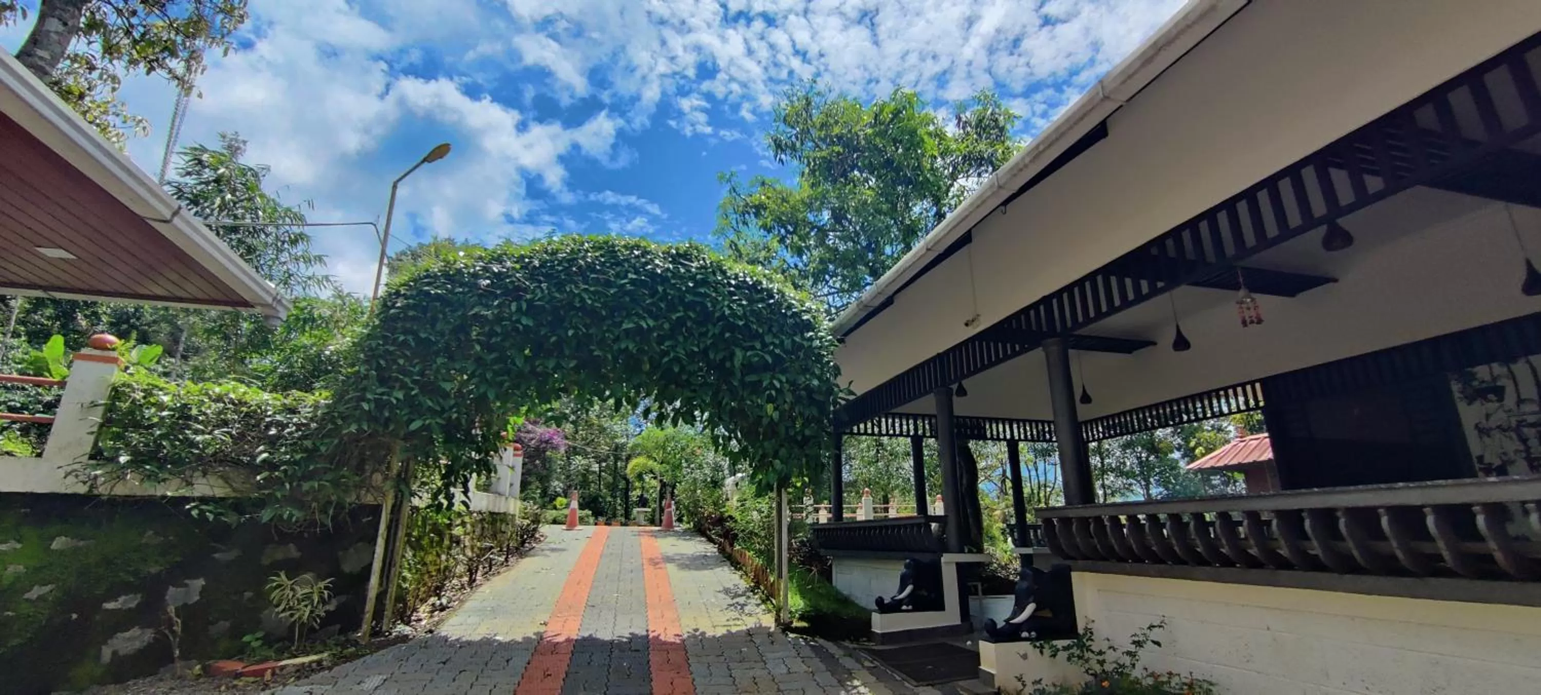 Property Building in Chalona Jungle Vibe