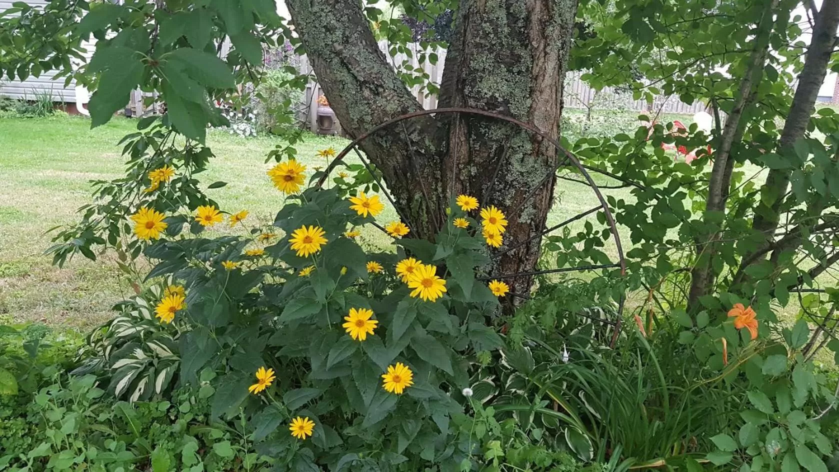 Garden in The Home Place Inn