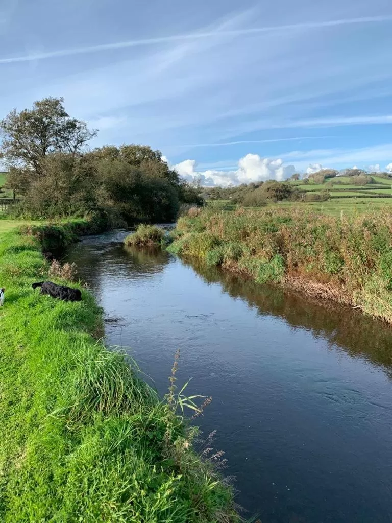 The Reindeer Retreat Daisy Double