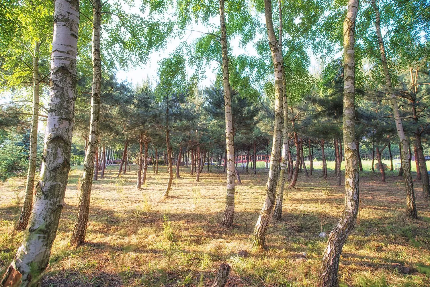 Spring in Rezydencja Elżbiecin