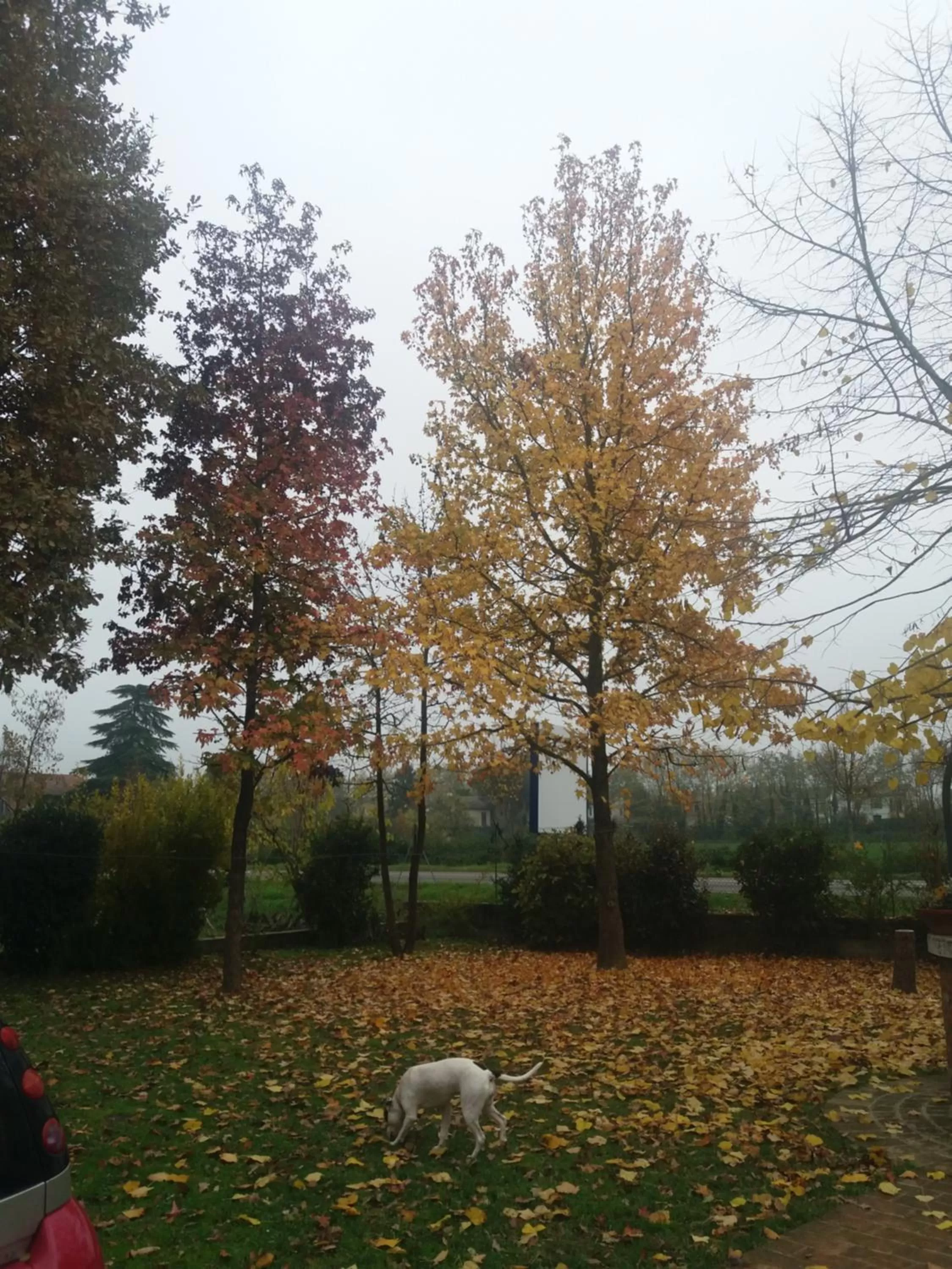 Garden in R&B un mondo a colori