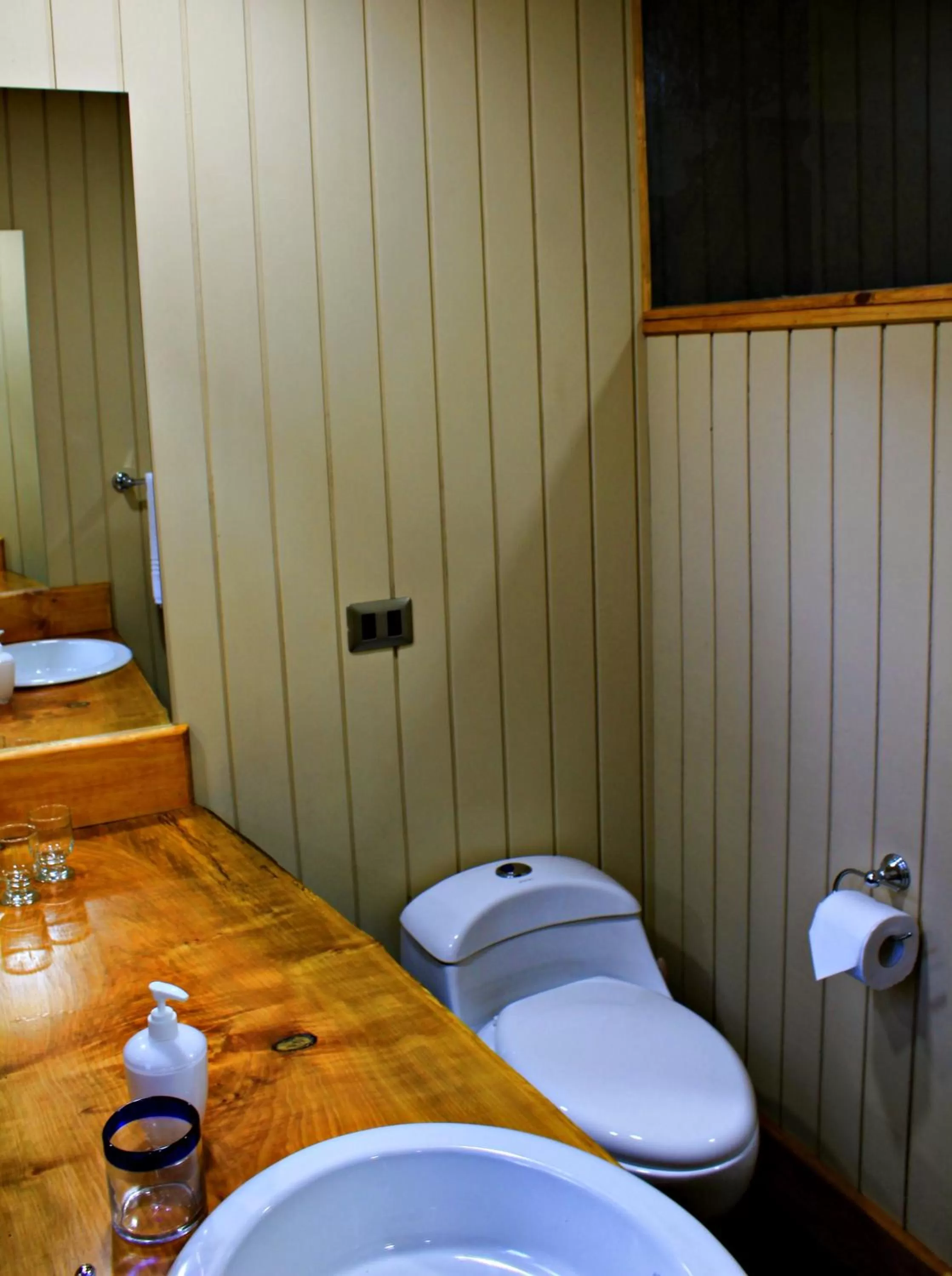 Bathroom in Hotel Salto del Carileufu