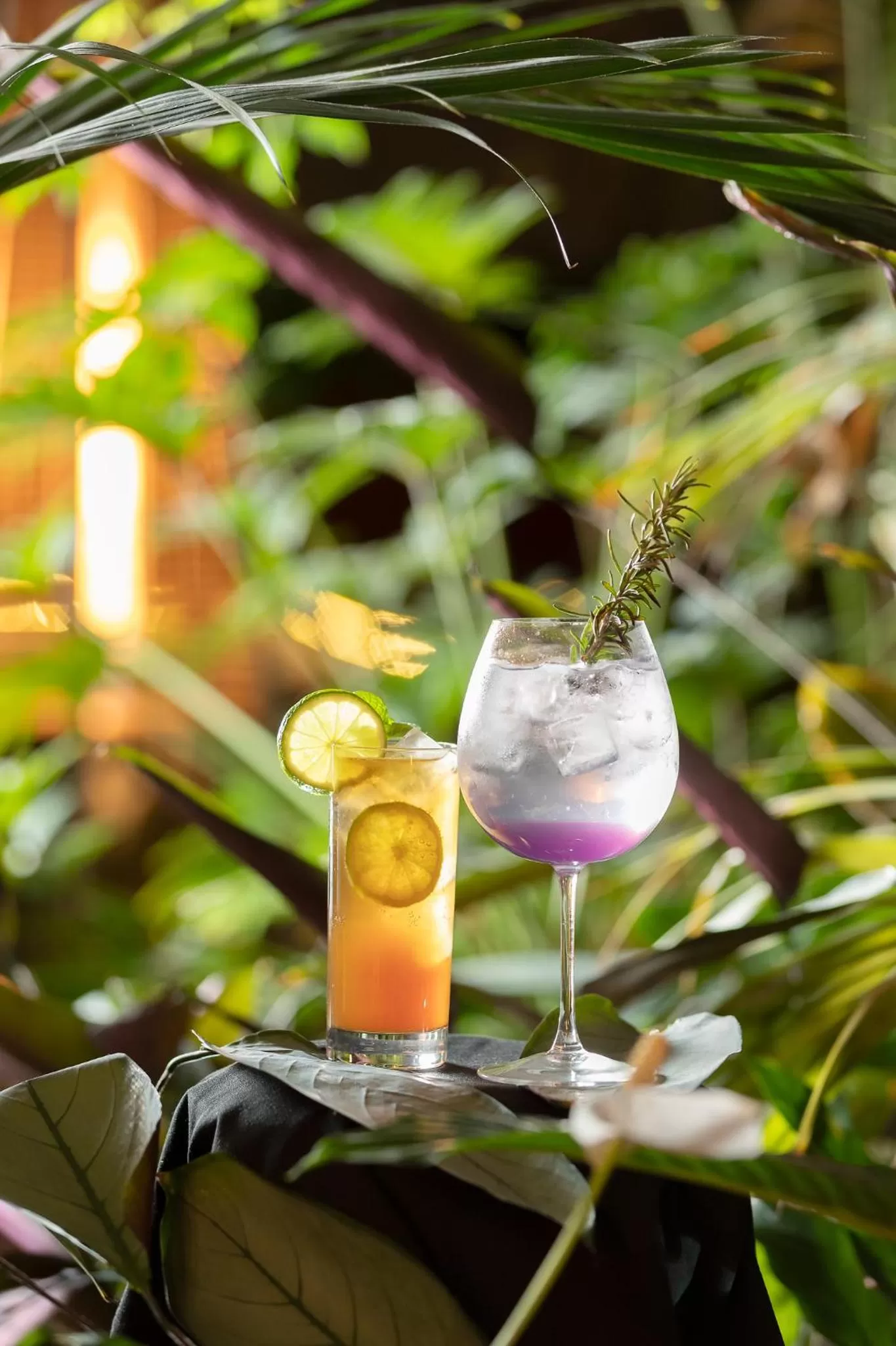 Restaurant/places to eat in Pavilion On Northbourne