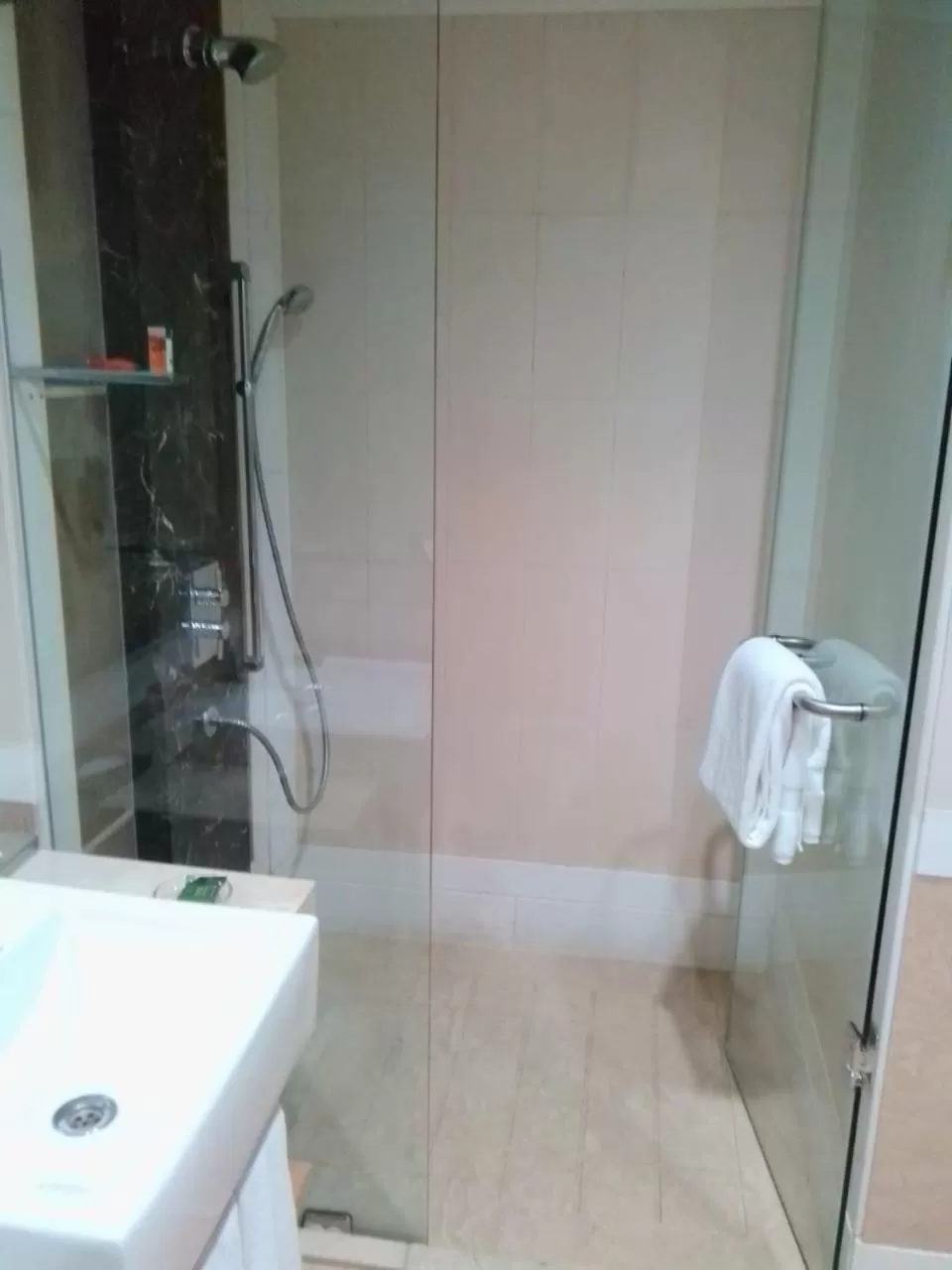 Shower in Radisson Noida