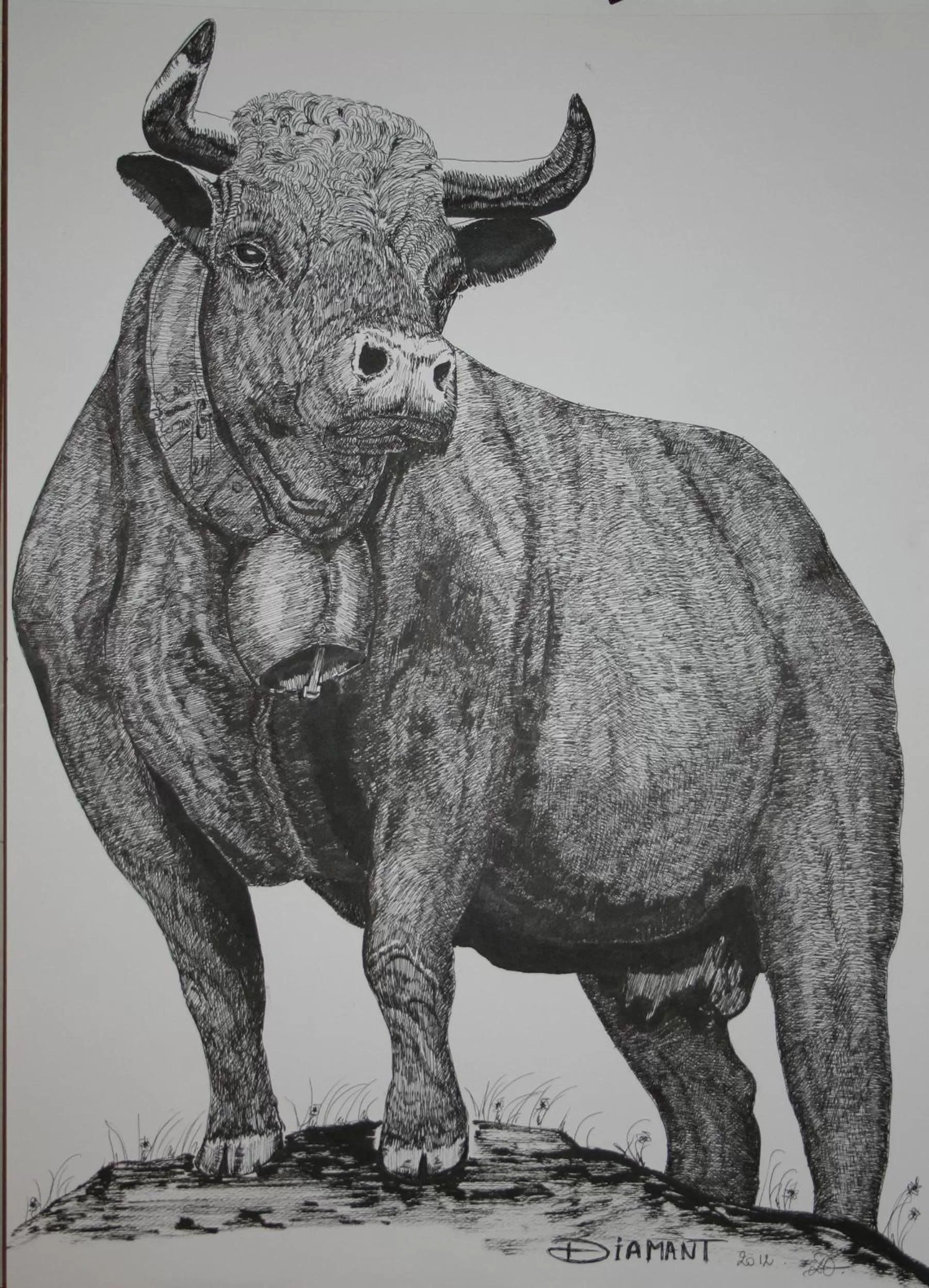 Activities, Other Animals in BnB Claudy et Elizabeth Michellod-Dutheil