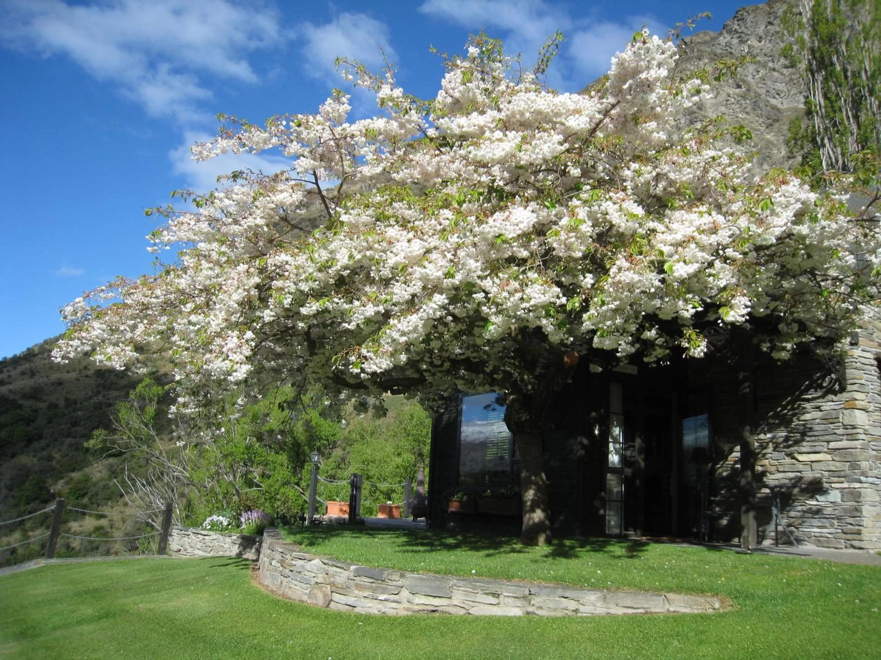 Facade/entrance, Garden in Trelawn Place