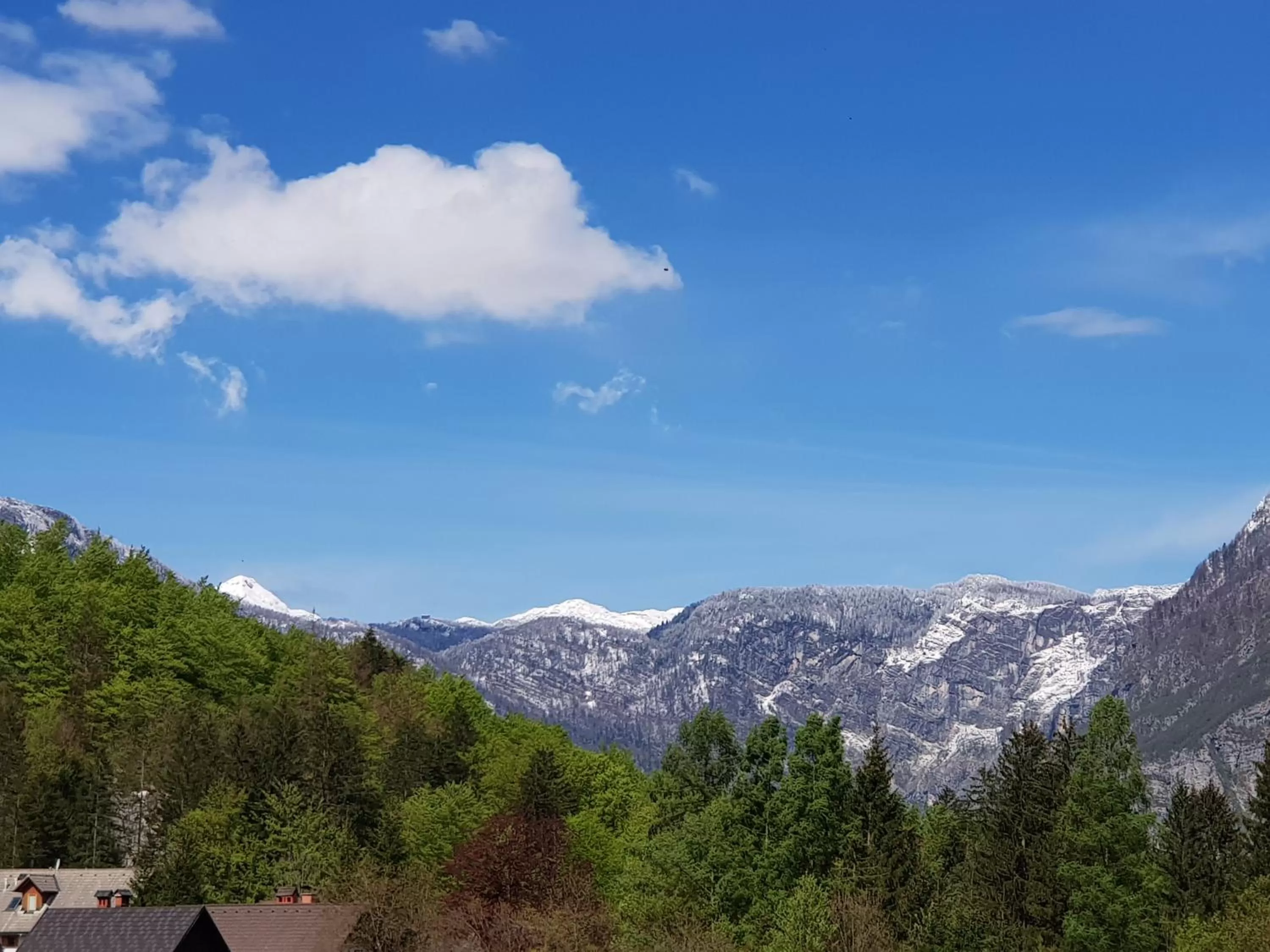 View (from property/room) in Hotel Gasperin Bohinj