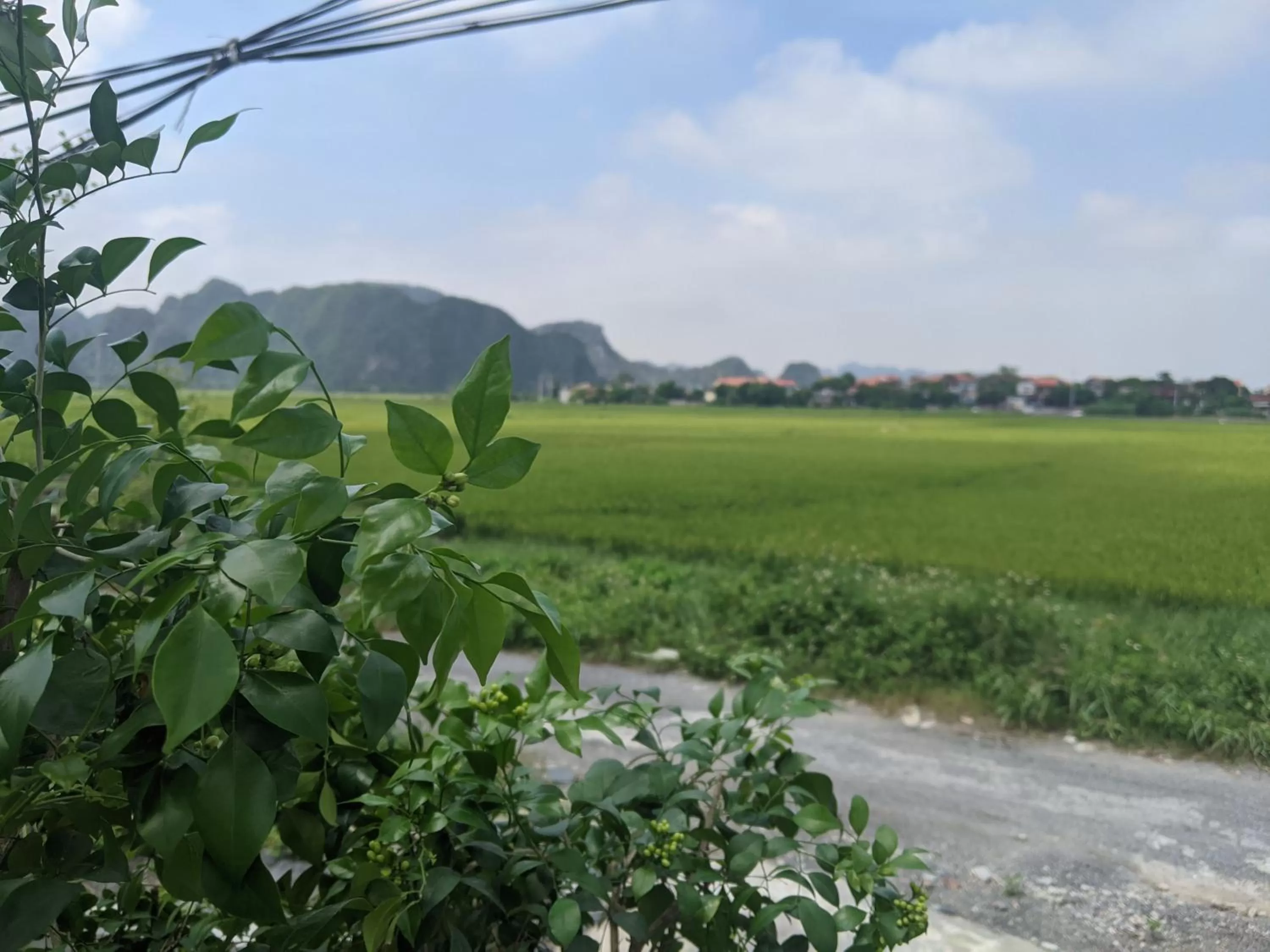 Natural landscape in ᴛᴀᴍ ᴄᴏᴄ ᴄᴏᴄᴏᴏɴ ʜᴏᴍᴇsᴛᴀʏ