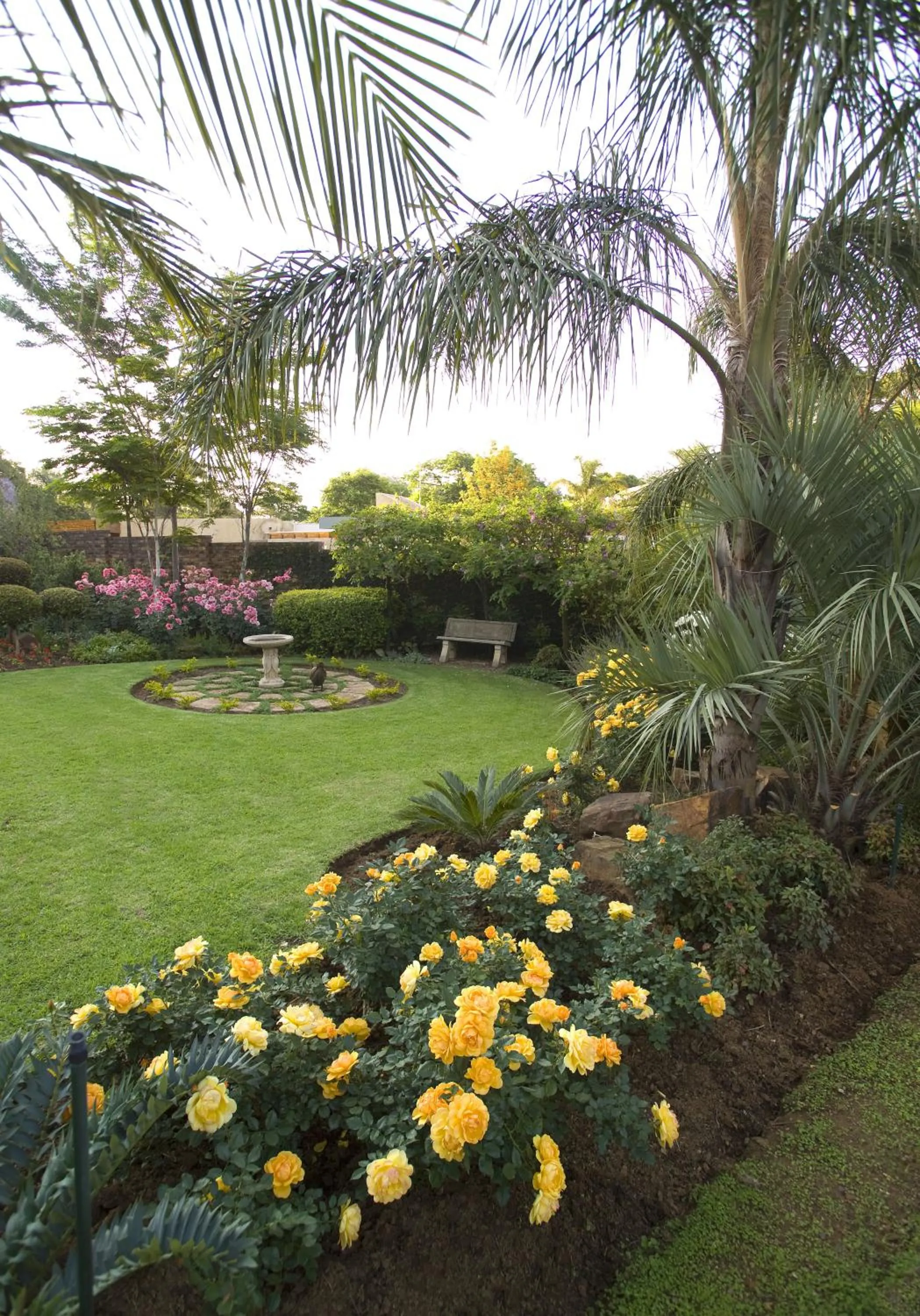 Garden in Royal Ridge Guesthouse