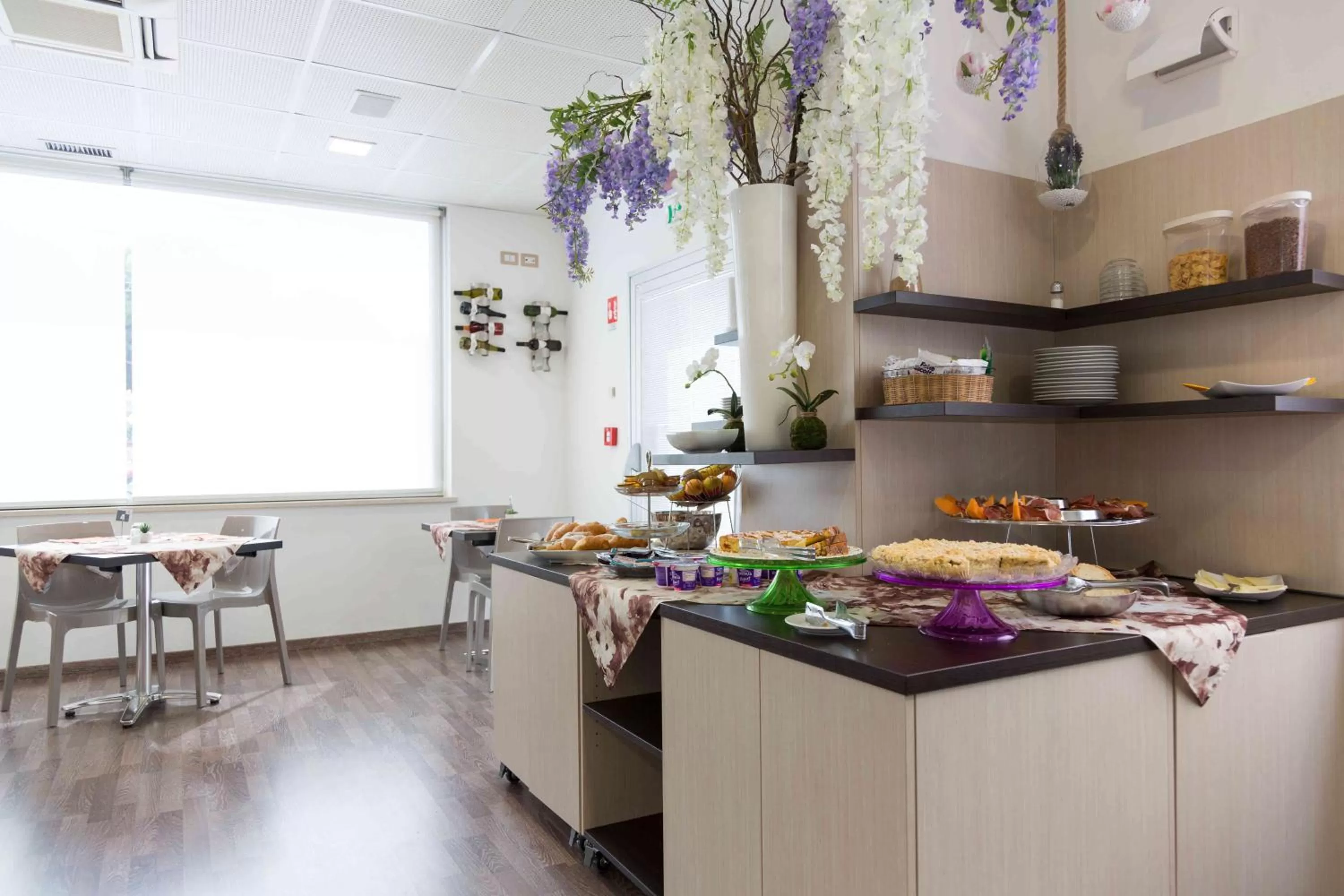 Area and facilities in Hotel Miramare