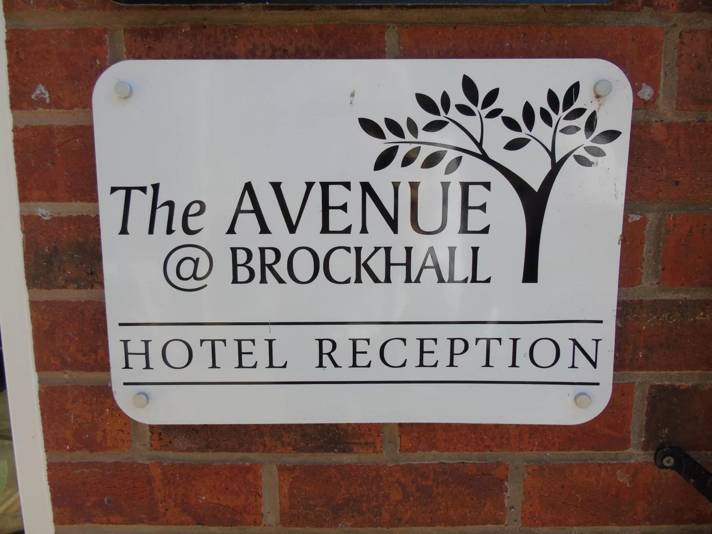 Decorative detail in The Avenue Hotel Ltd