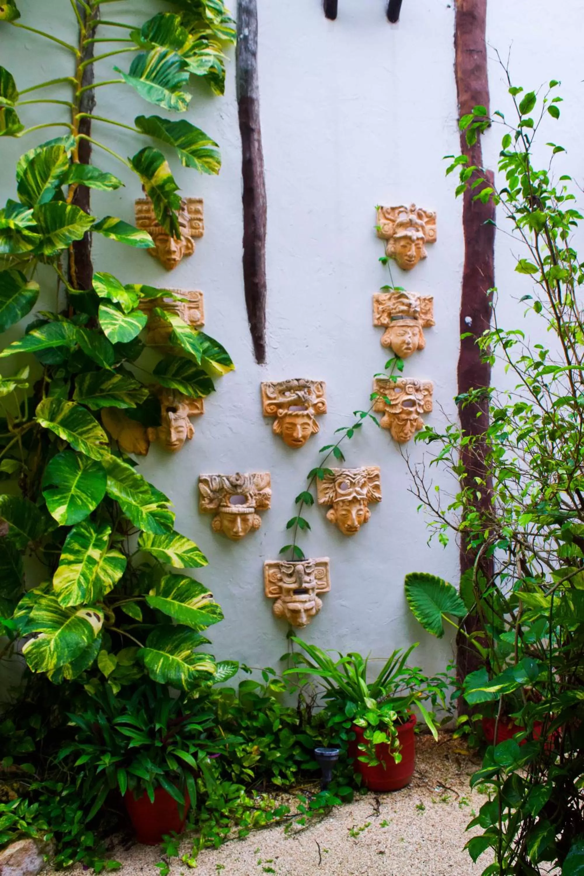 Natural landscape in Casa CARIBE Cancun