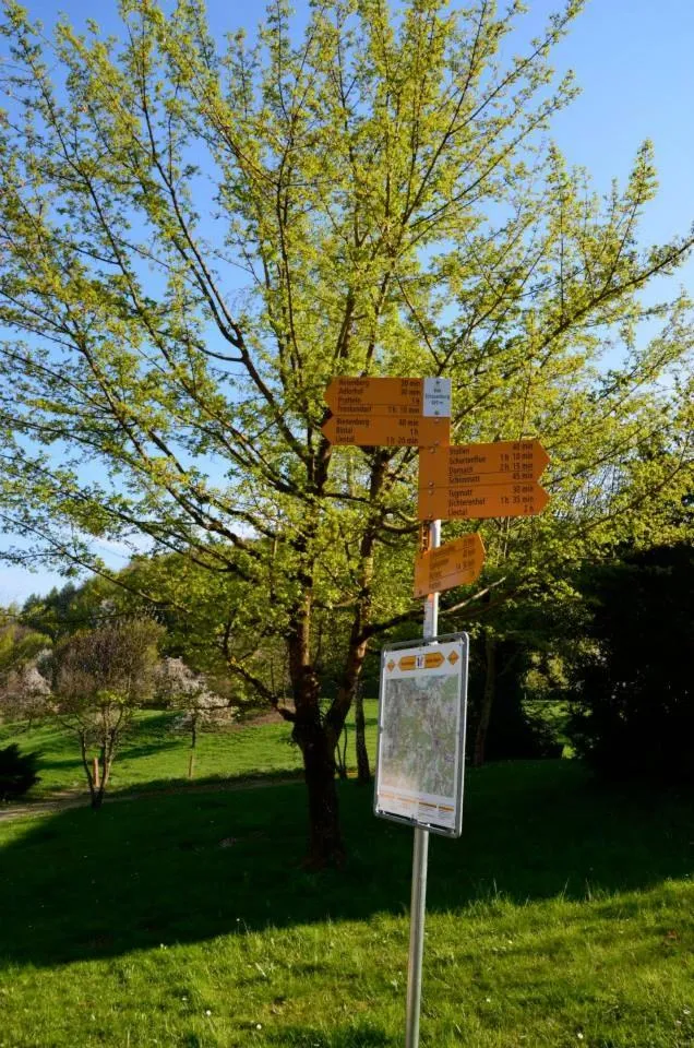 Day in Bad Schauenburg