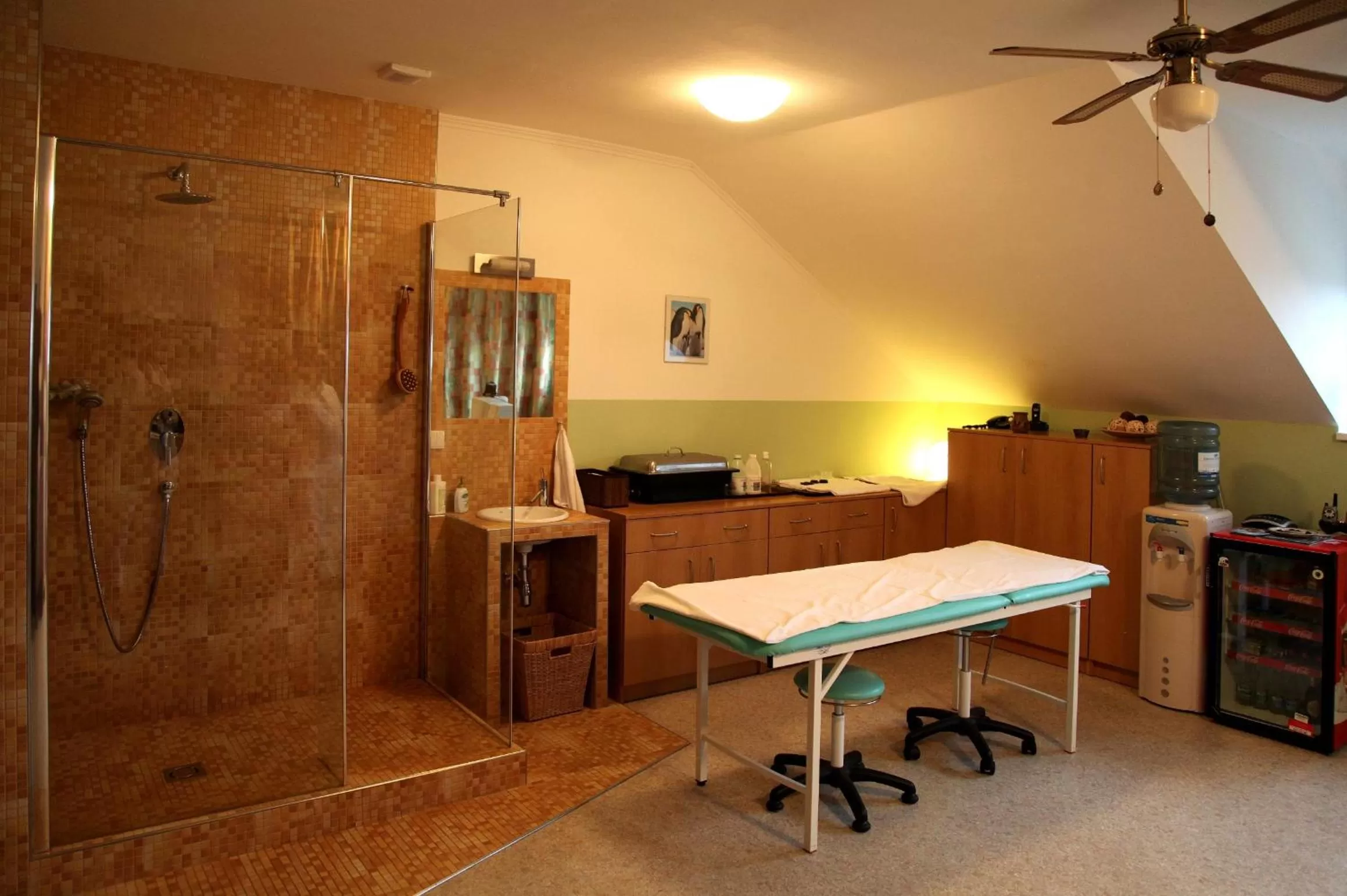 Spa and wellness centre/facilities in April hotel Panorama