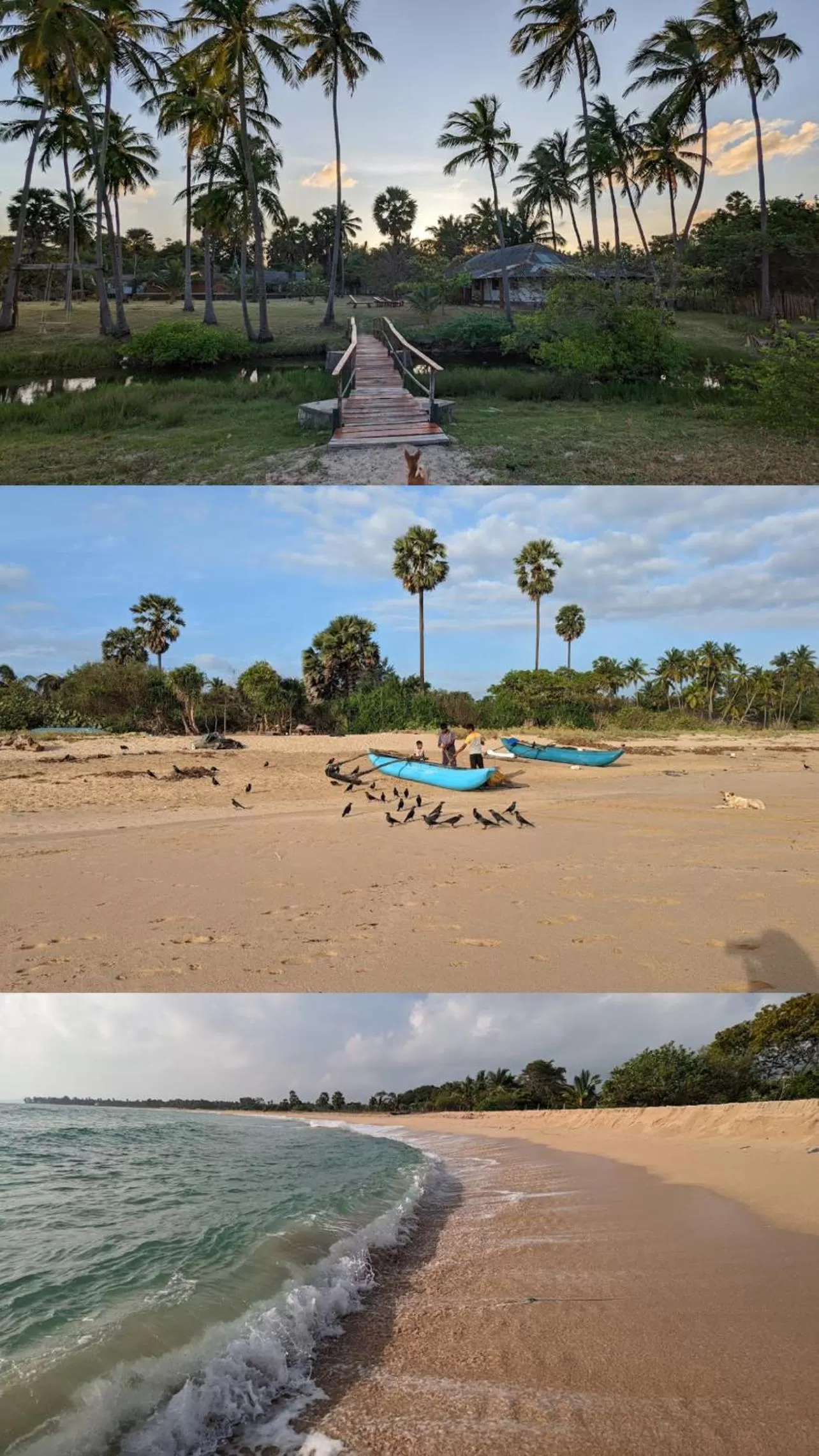 Beach in 108 Palms Beach Resort