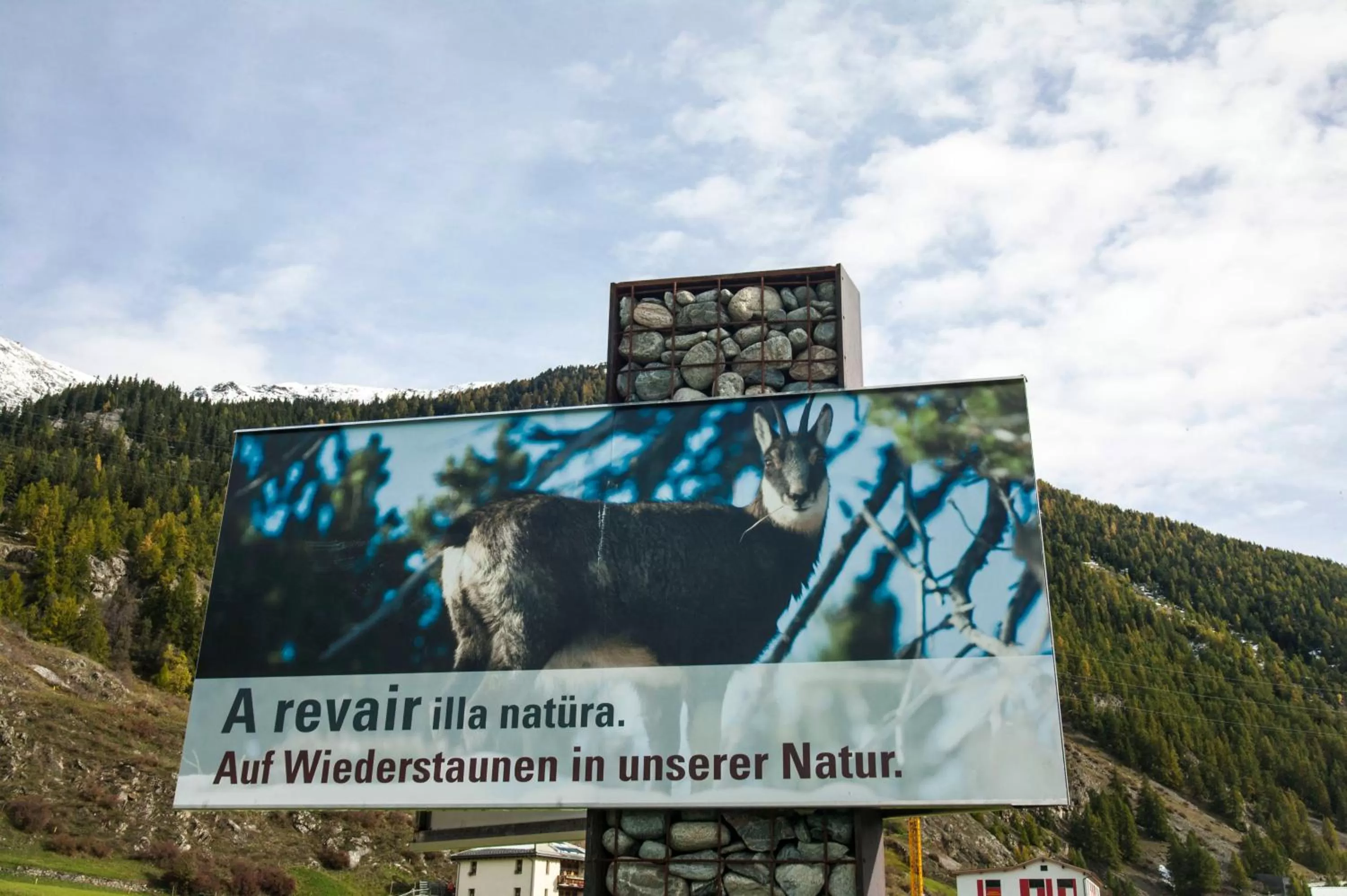 Area and facilities in Hotel Spöl Restaurant