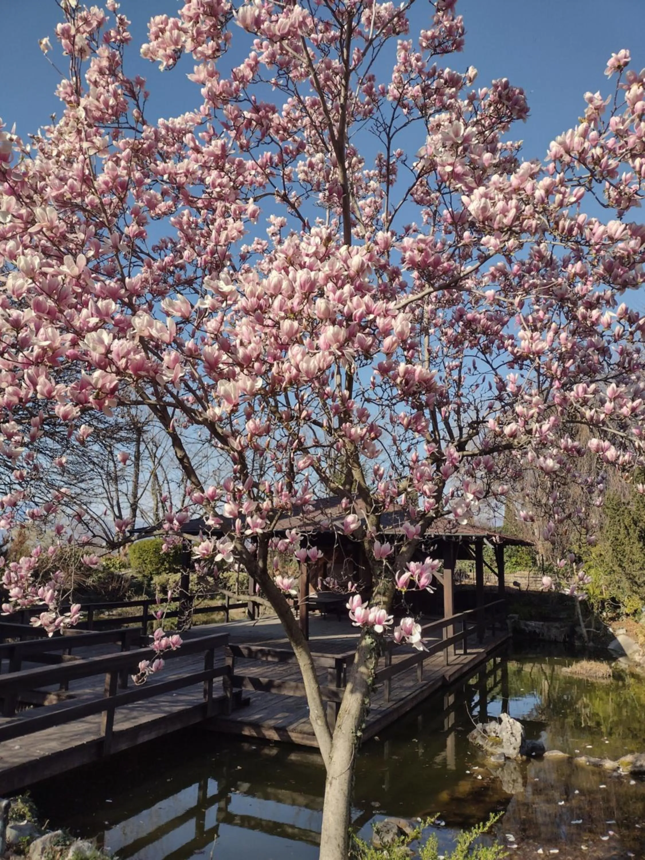 Garden view in Parc Hotel Casa Mia