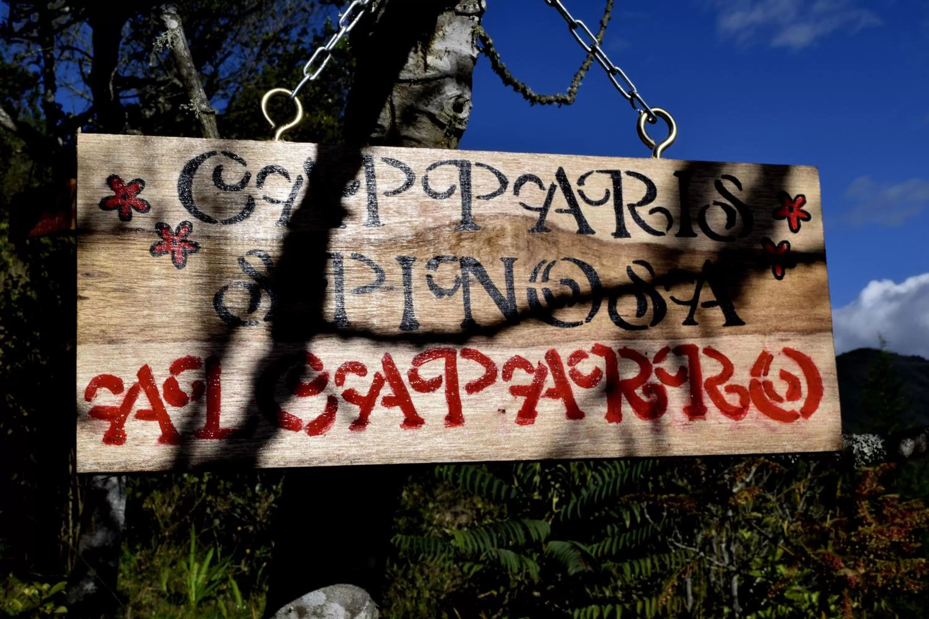 Garden view in El Pedregal Sopó