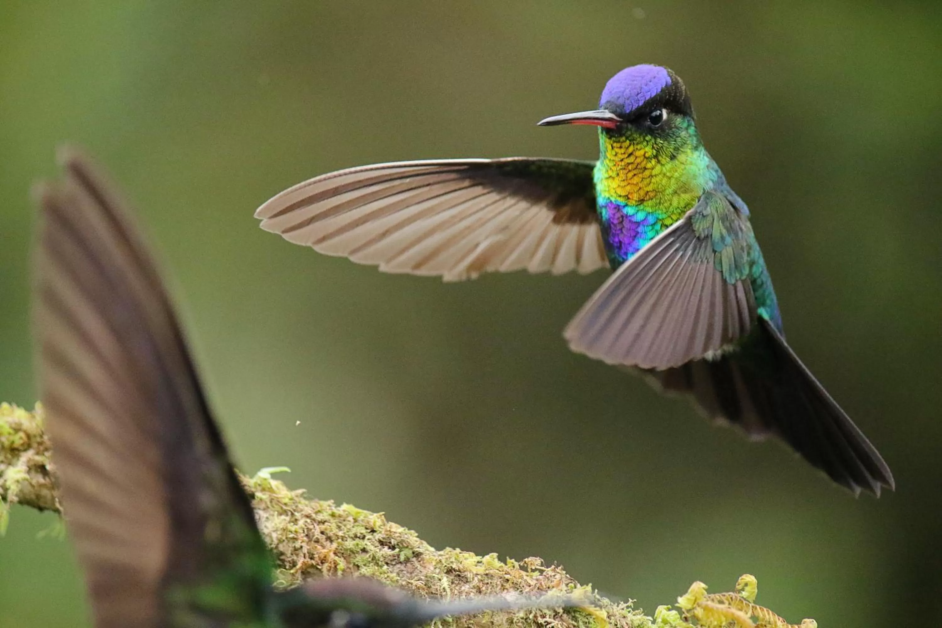 Iyok Ami (Madre Tierra)