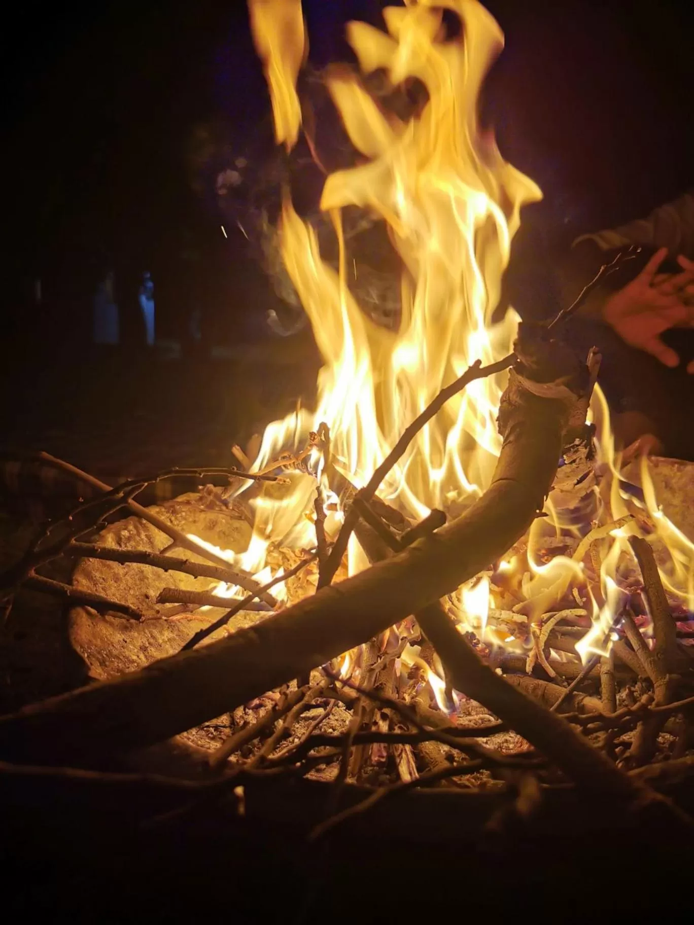 flat iron in Haveli Elephant Stable