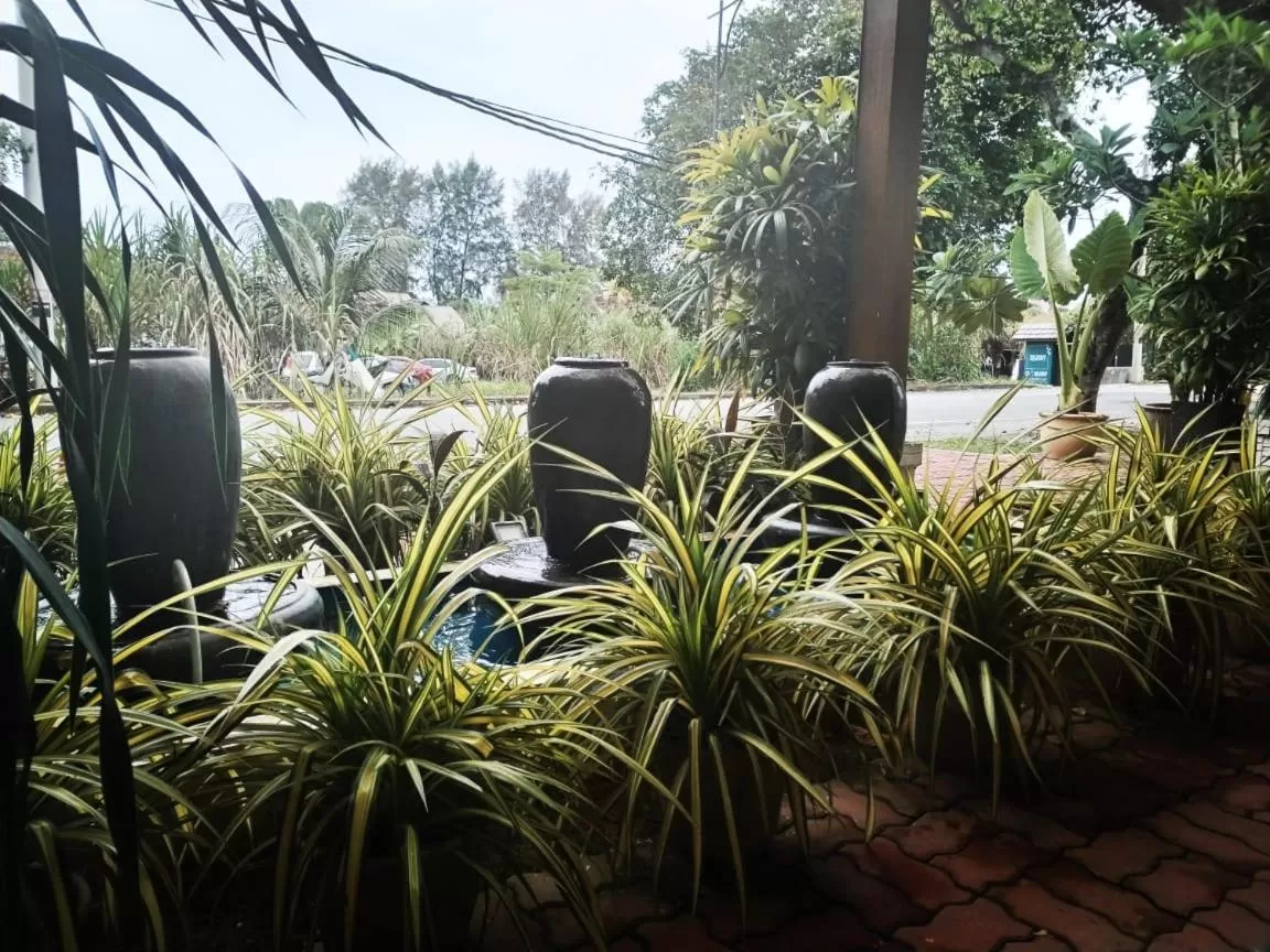 Natural landscape in Destini Akef Villa