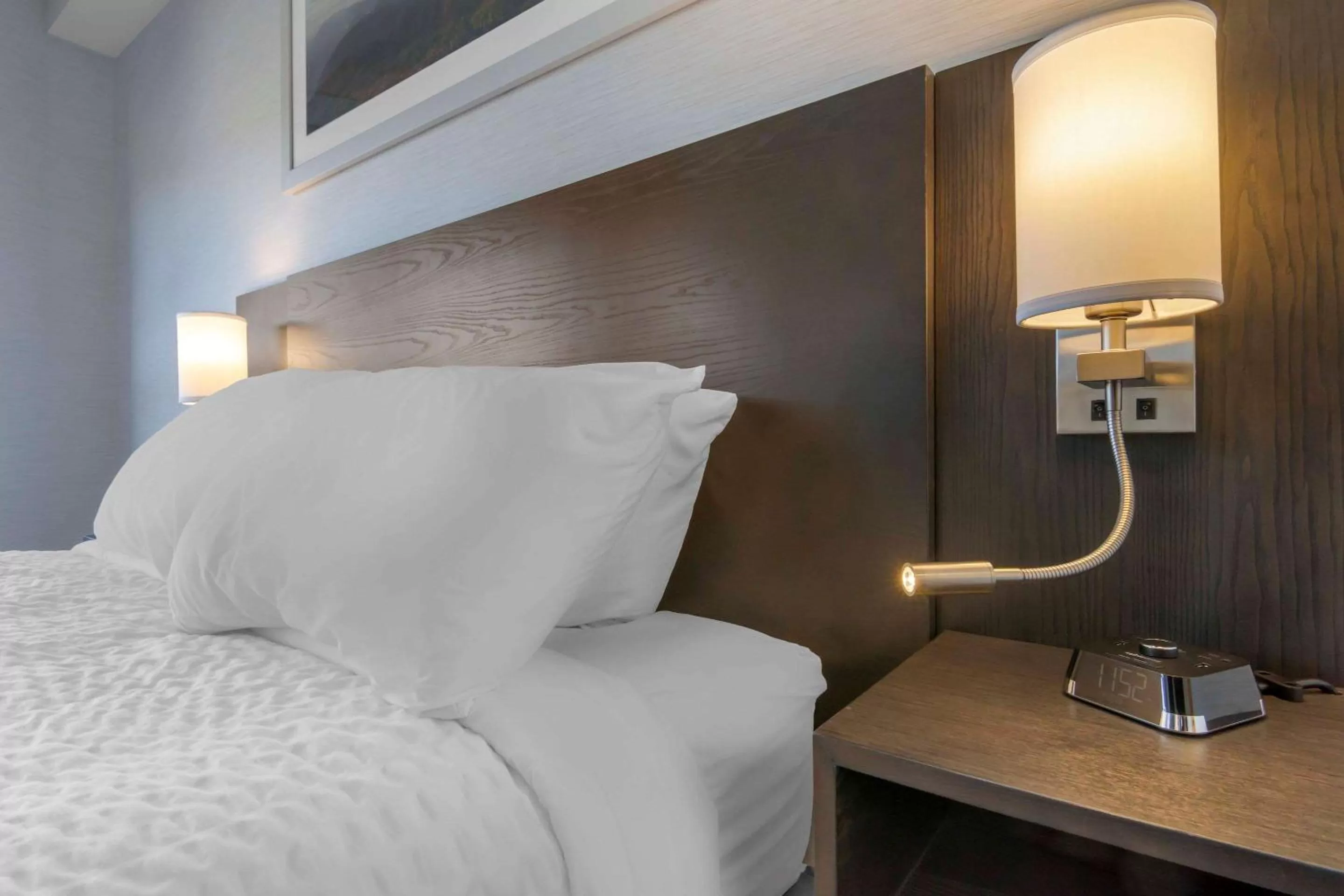 Photo of the whole room, Bed in Quality Inn