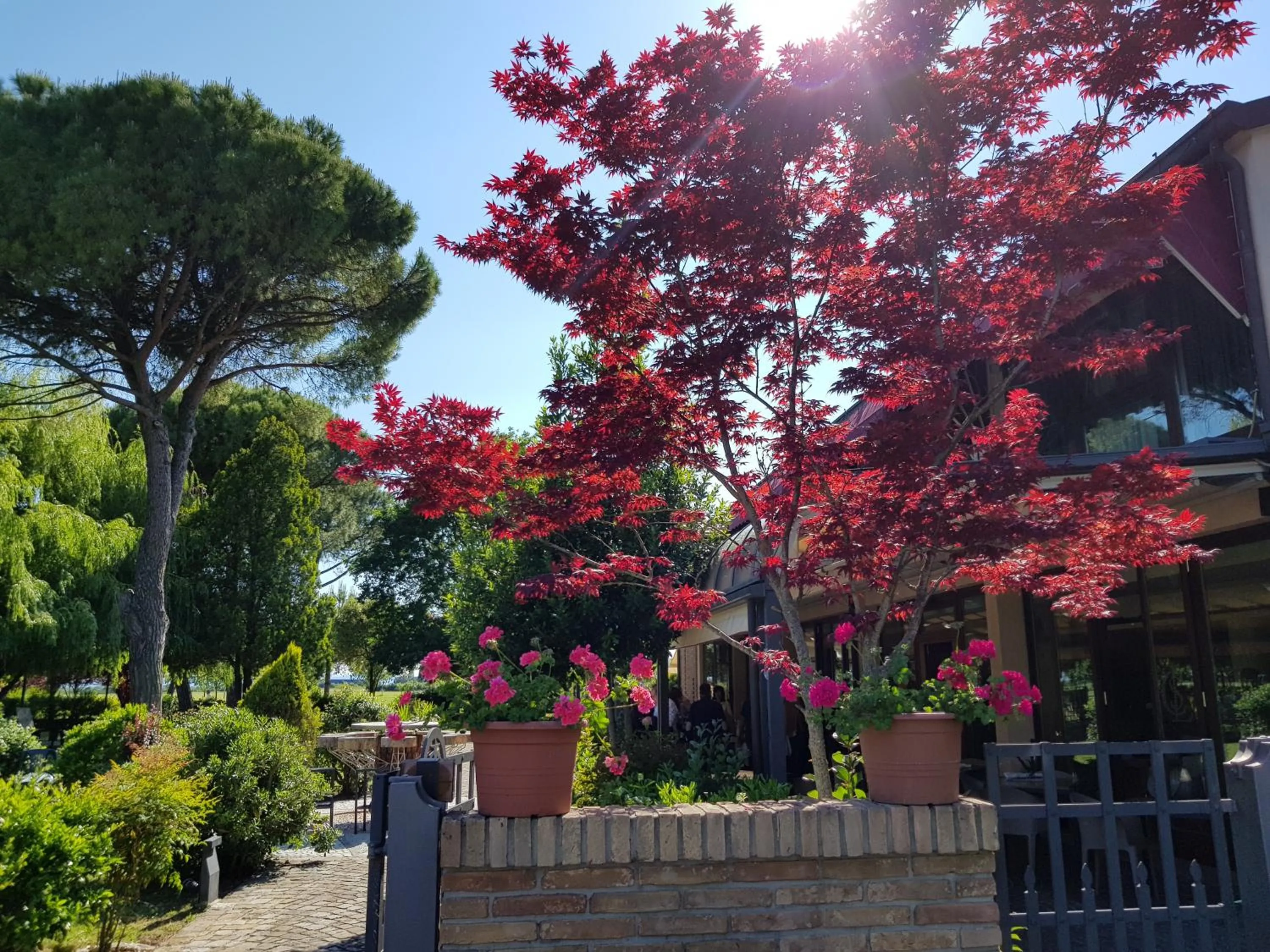 Garden in Hotel Classensis