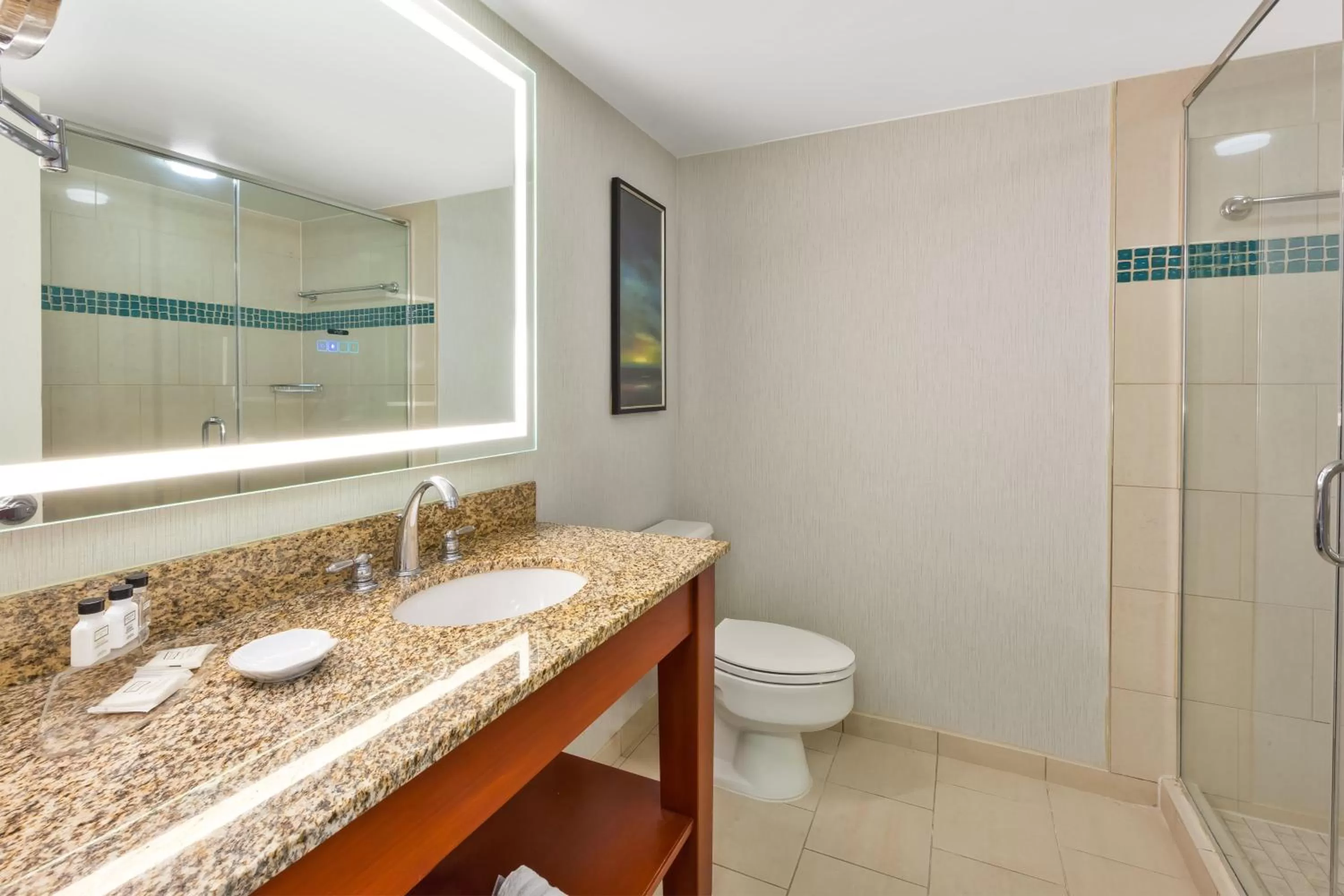 Bathroom in Crowne Plaza Dulles Airport by IHG