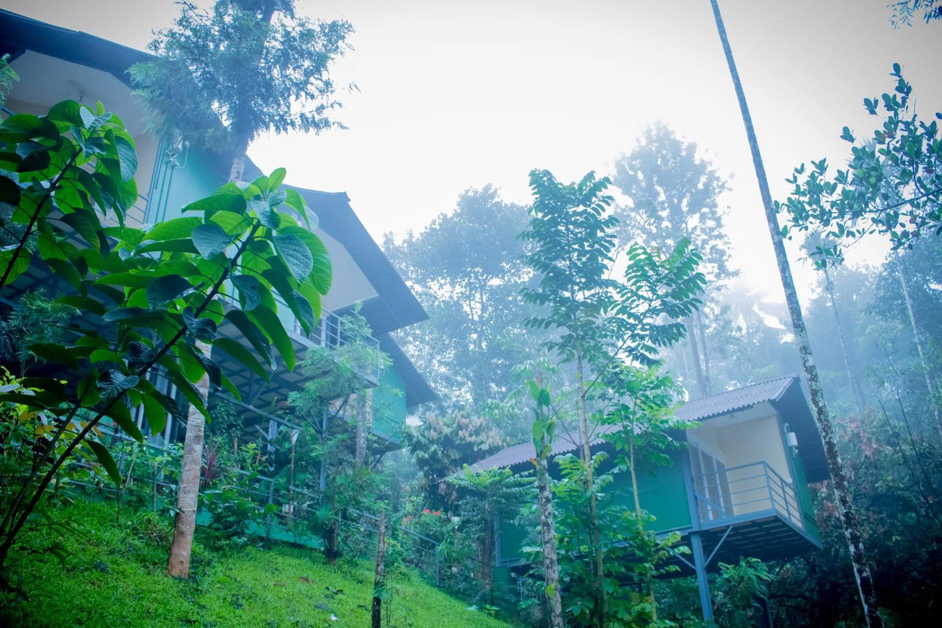 Property building in Edens Munnar