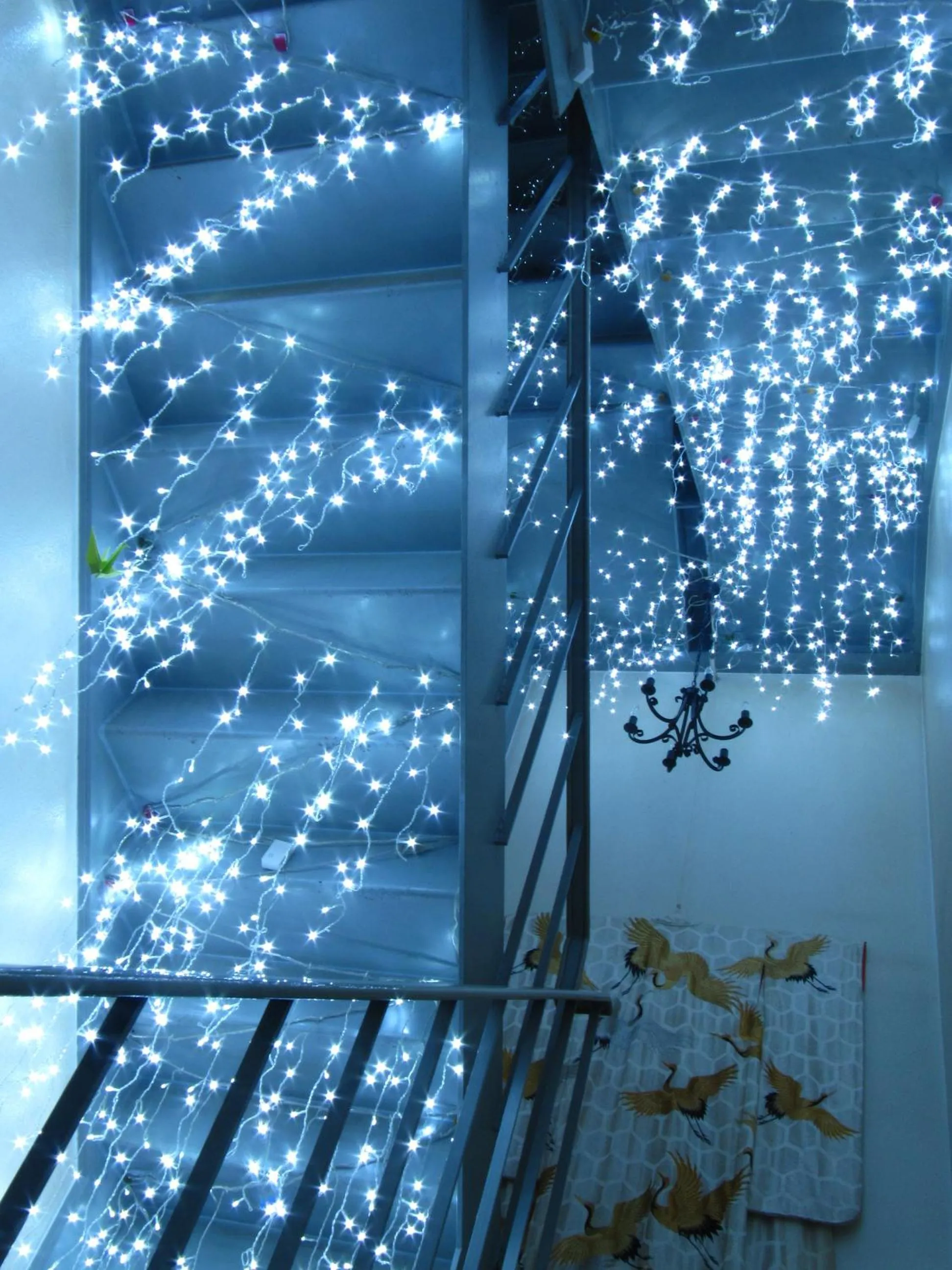 Other in Dyeing and Hostel Nakashimaya - Female Only