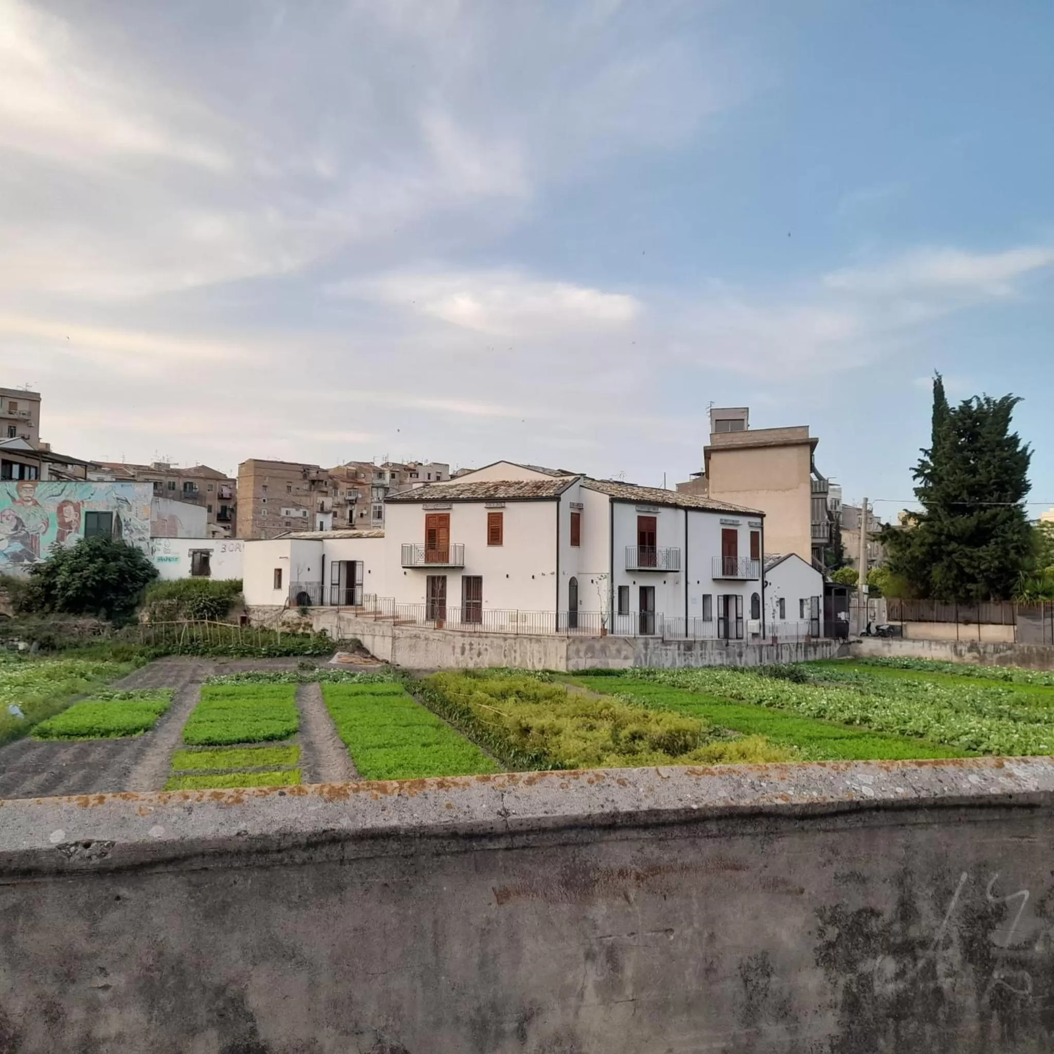 Garden, Property Building in Enzo'S Suite