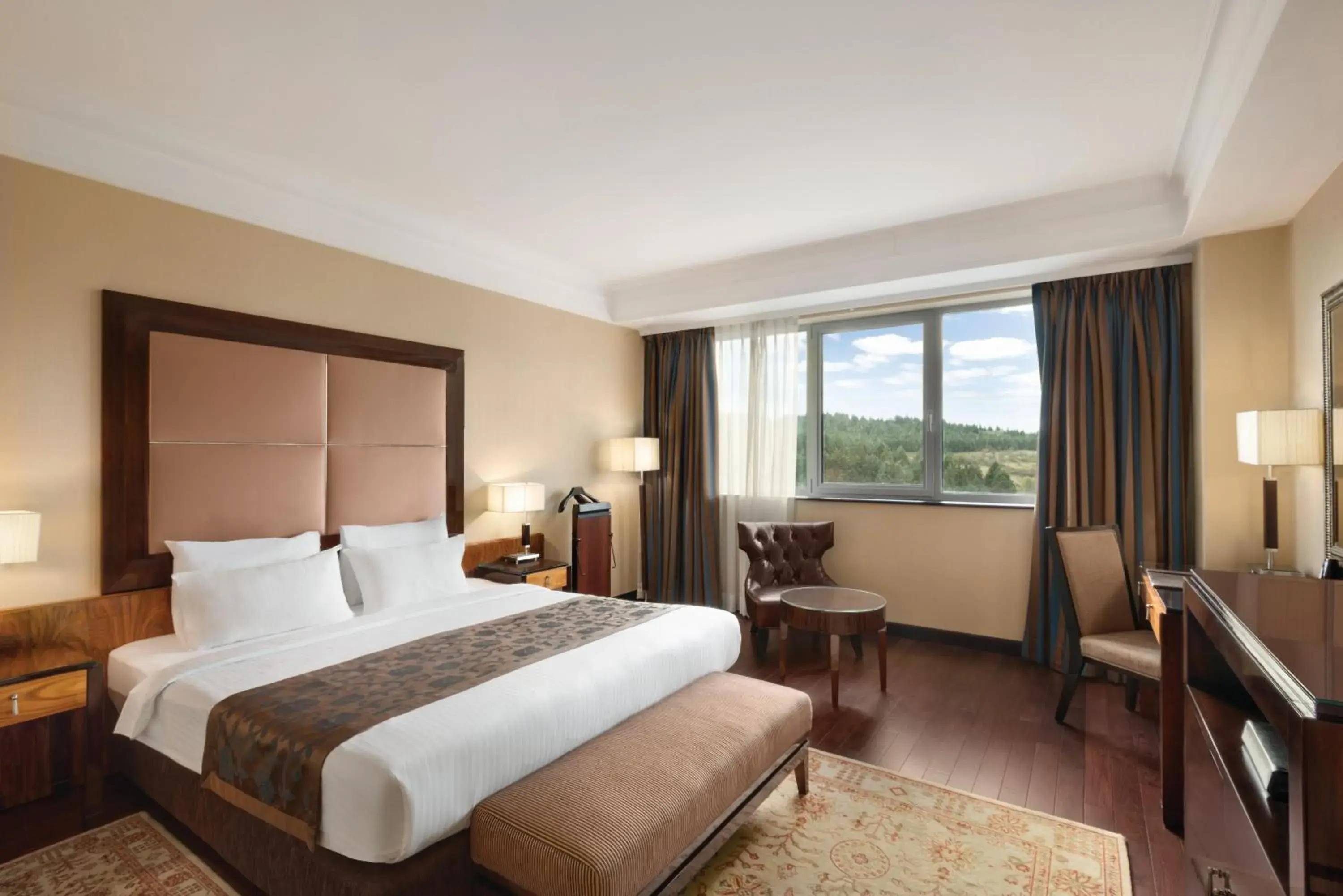 Deluxe Double or Twin Room - single occupancy in Ramada Plaza by Wyndham Gevgelija Deluxe Double or Twin Room - single occupancy in Ramada Plaza by Wyndham Gevgelija