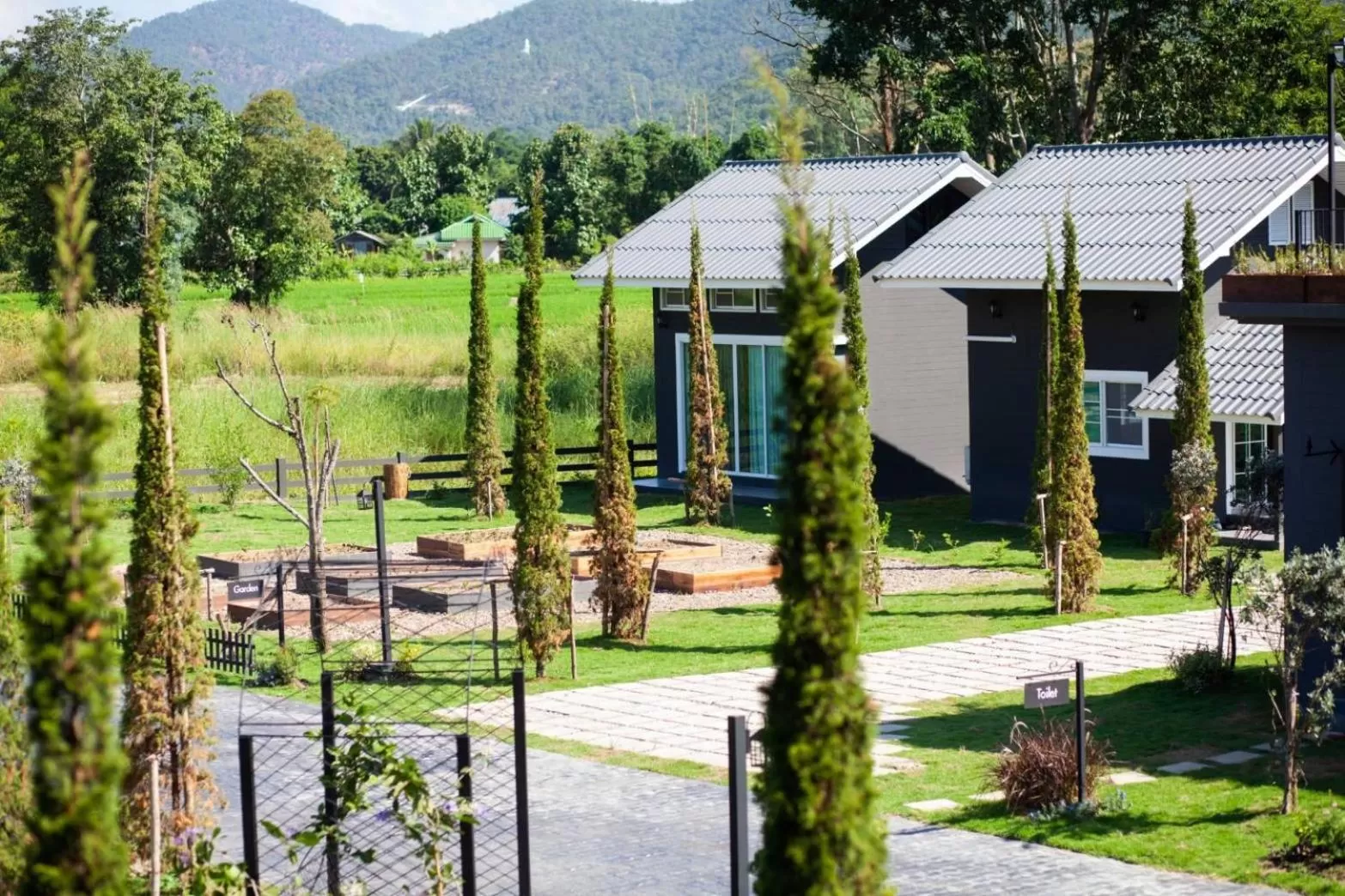 Natural landscape in PAI LAMUN VALLEY