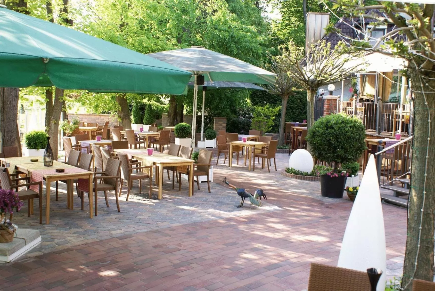 Balcony/Terrace in Hotel Robben