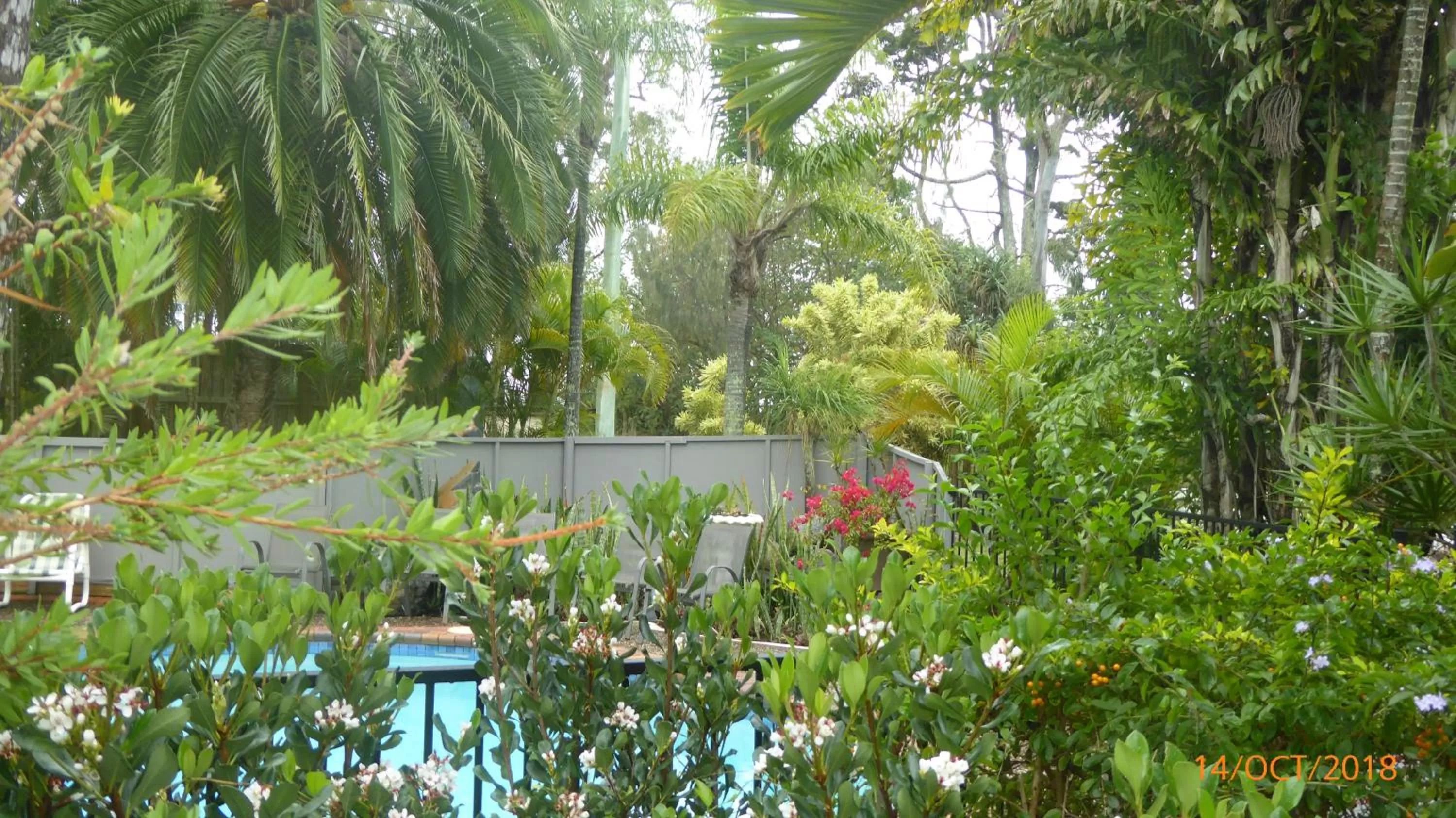 Garden view in Tower Court Motel - adults only haven