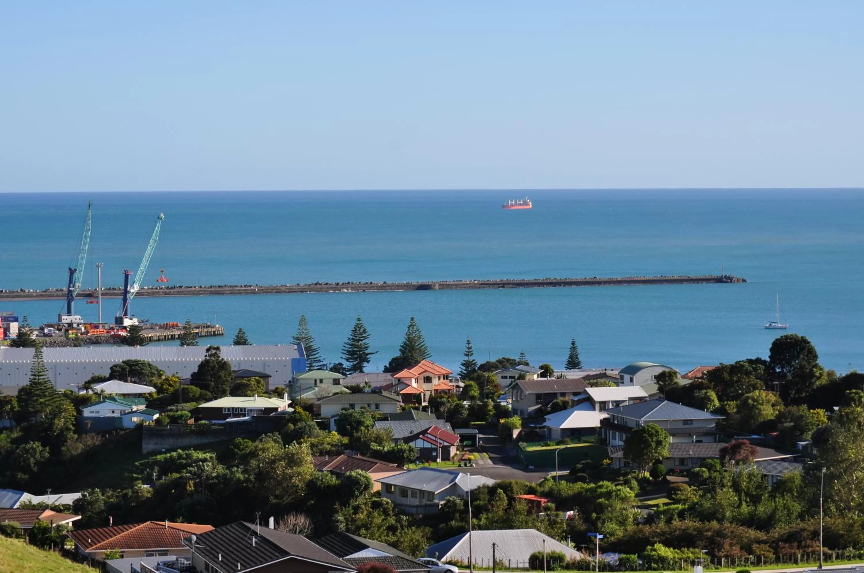 Garden in 16 Havelock