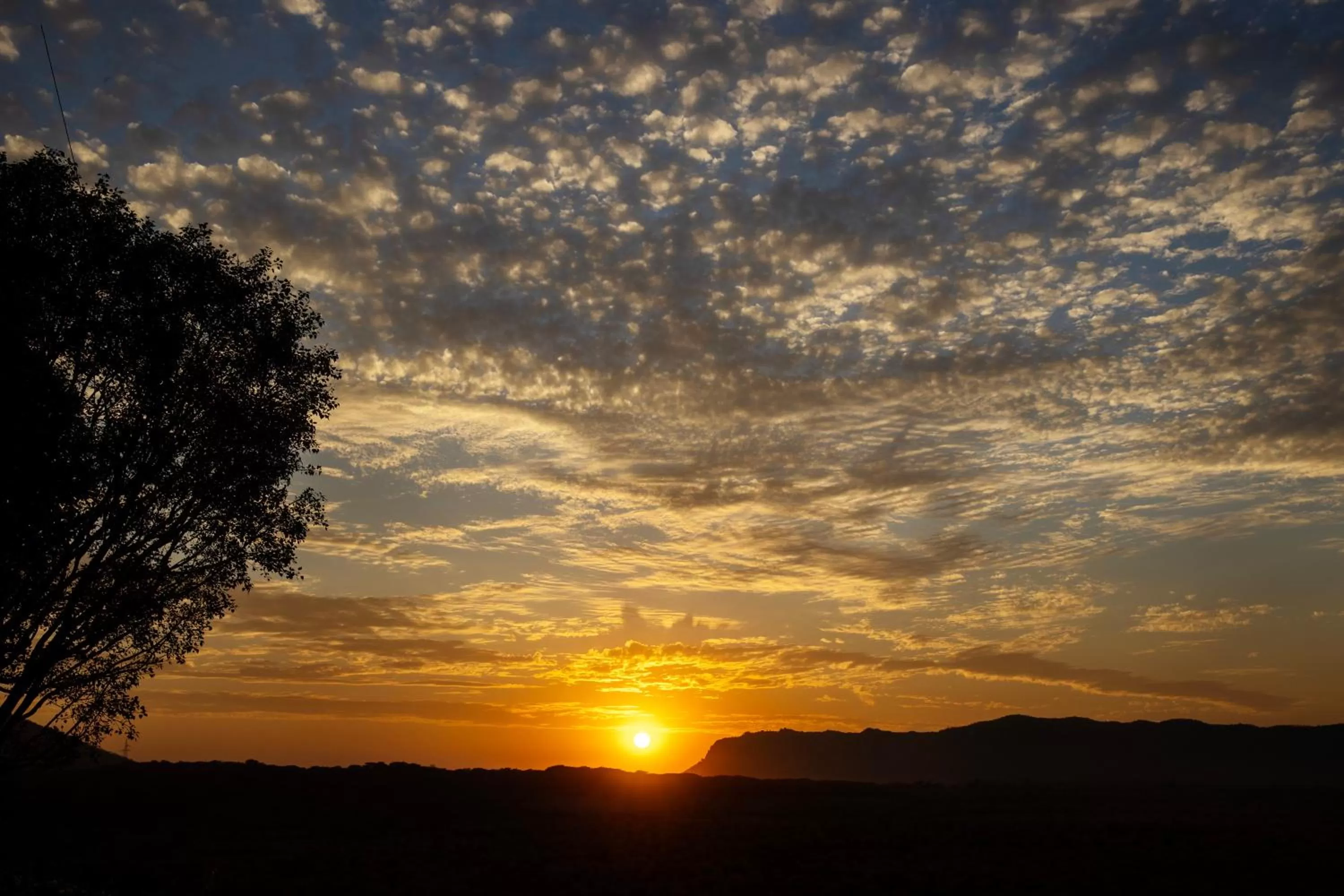 Ramgarh Lodge, Jaipur – IHCL SeleQtions