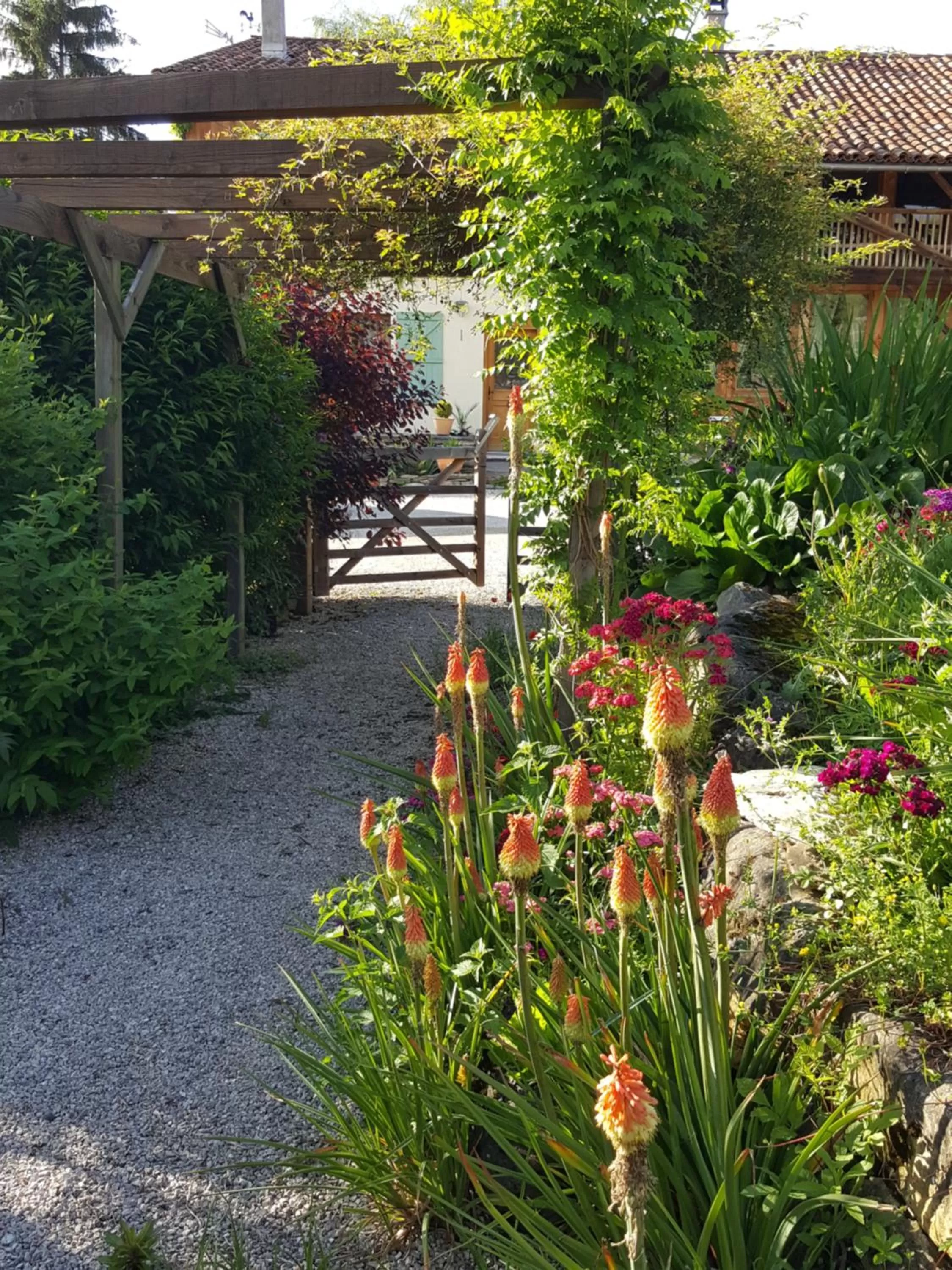 Garden in Chambres d'hôtes St Jacques Adults only