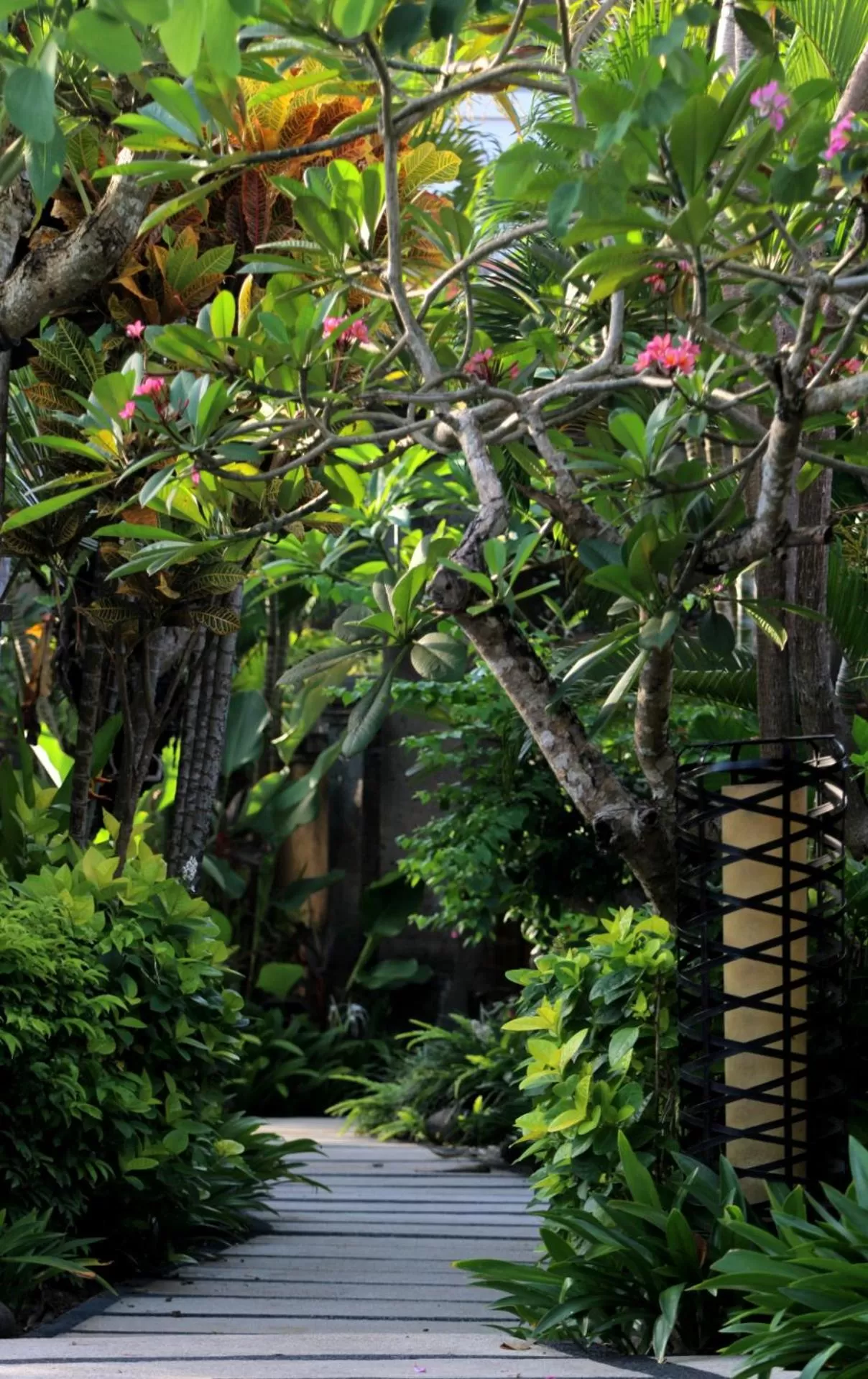 Garden in Sagara Villas and Suites Sanur by AHM