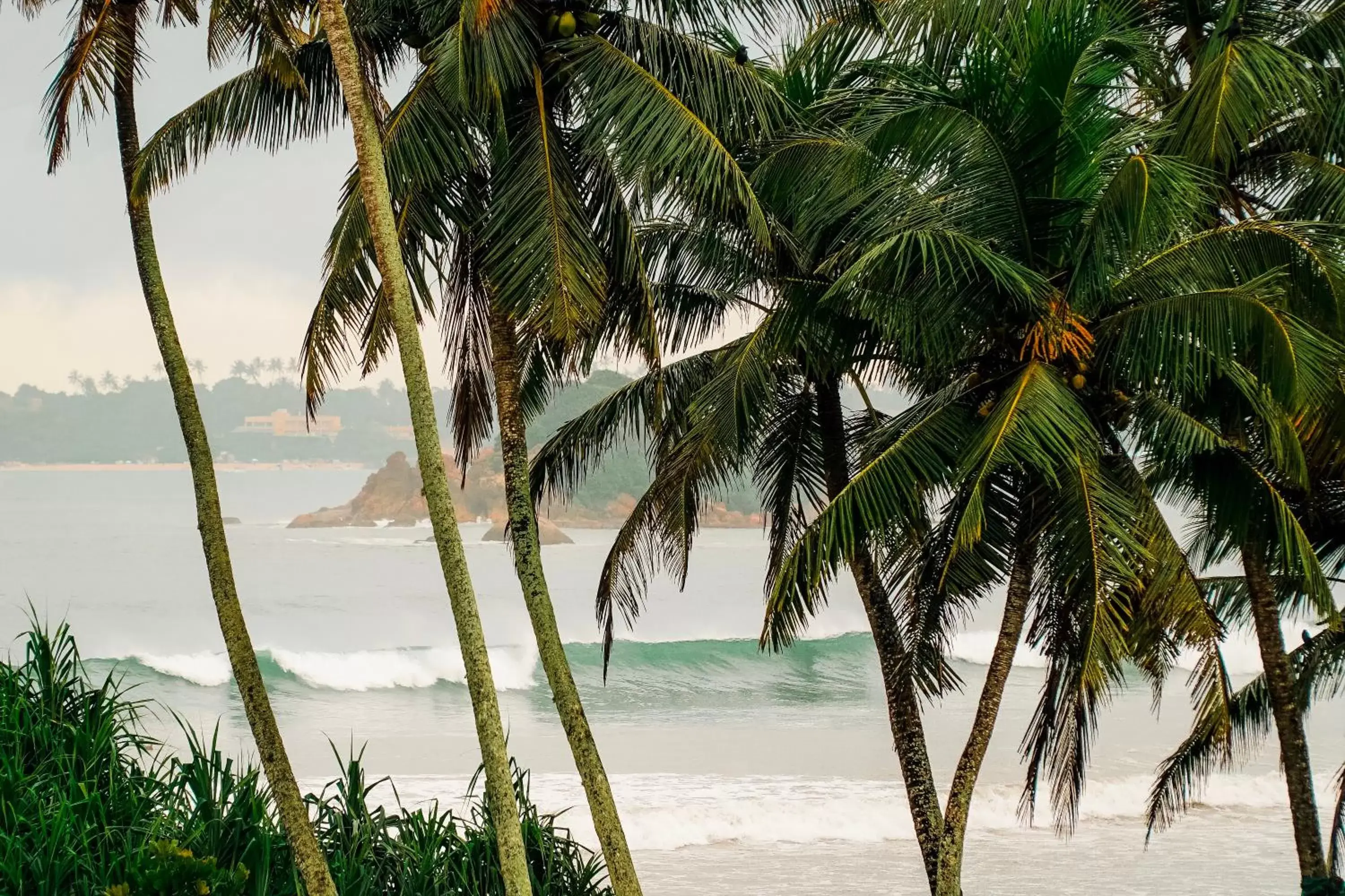 Deluxe Double Room with Sea View in Lucky's Surf Camp Deluxe Double Room with Sea View in Lucky's Surf Camp