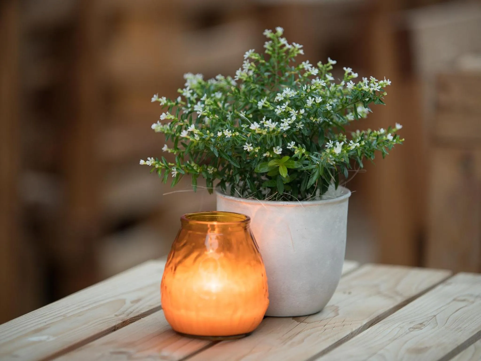 Garden in acom-Hotel Vienna