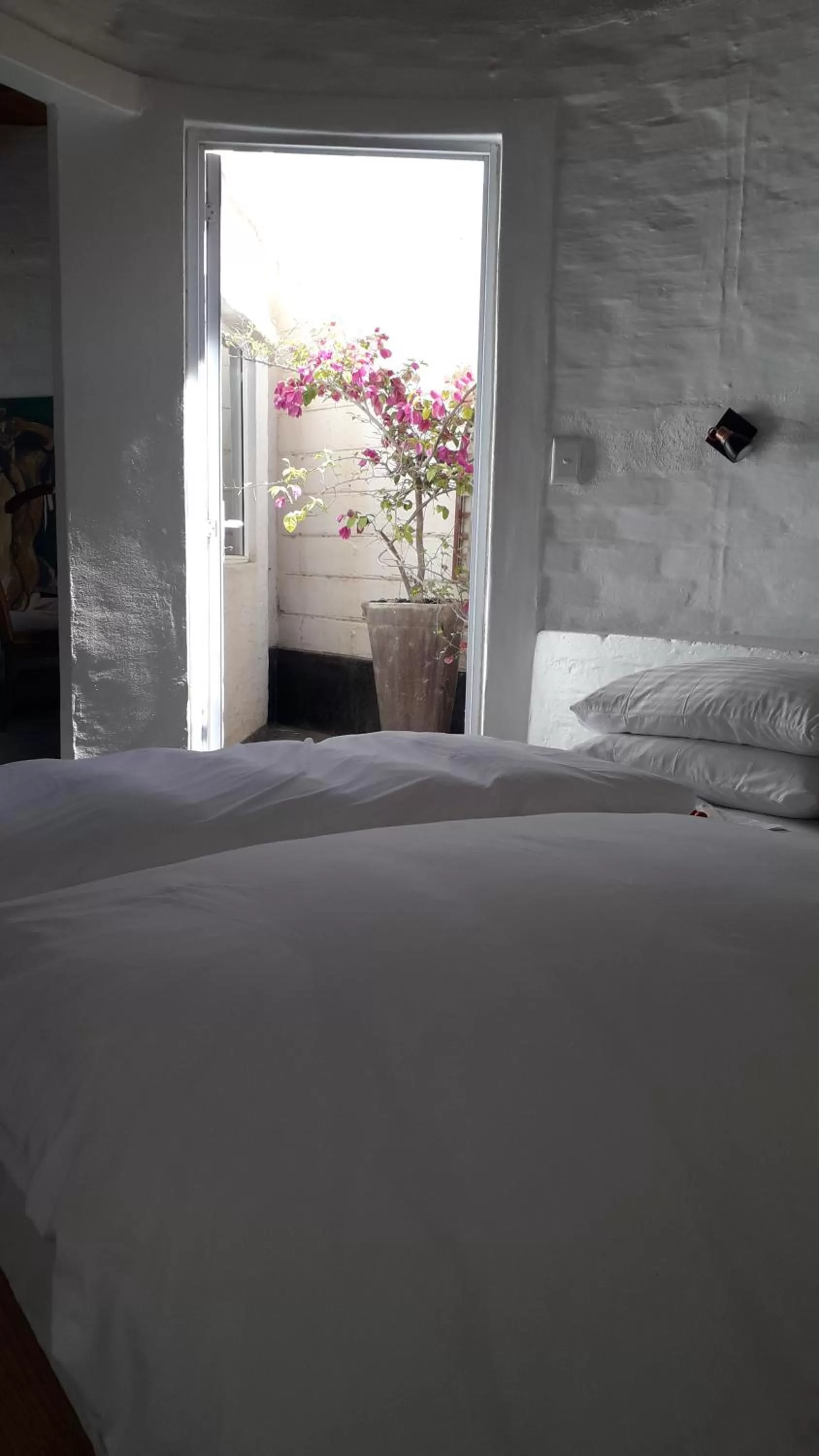 Bed in Alternative Space B & B