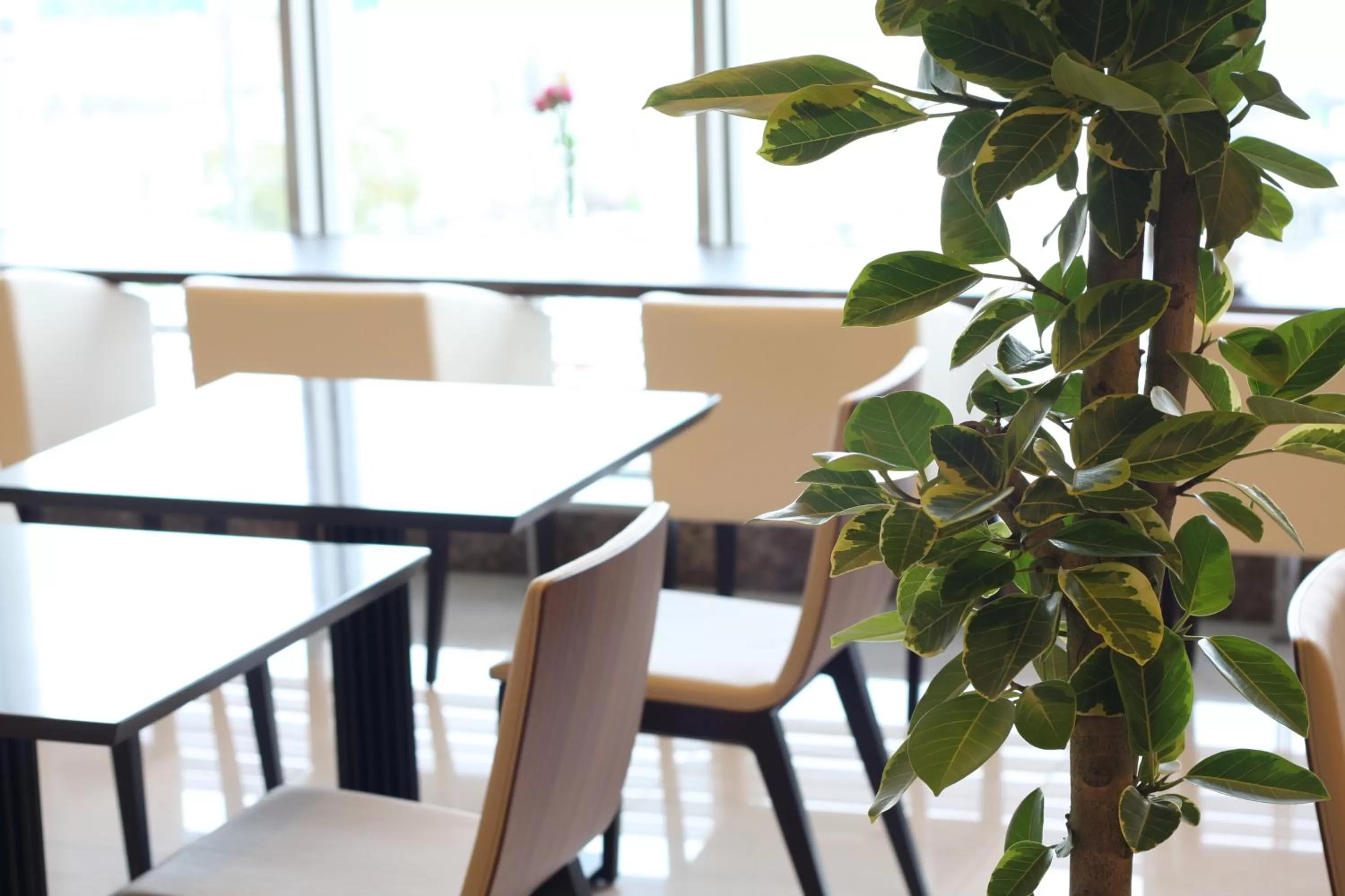 Day in Urban Hotel Minami Kusatsu